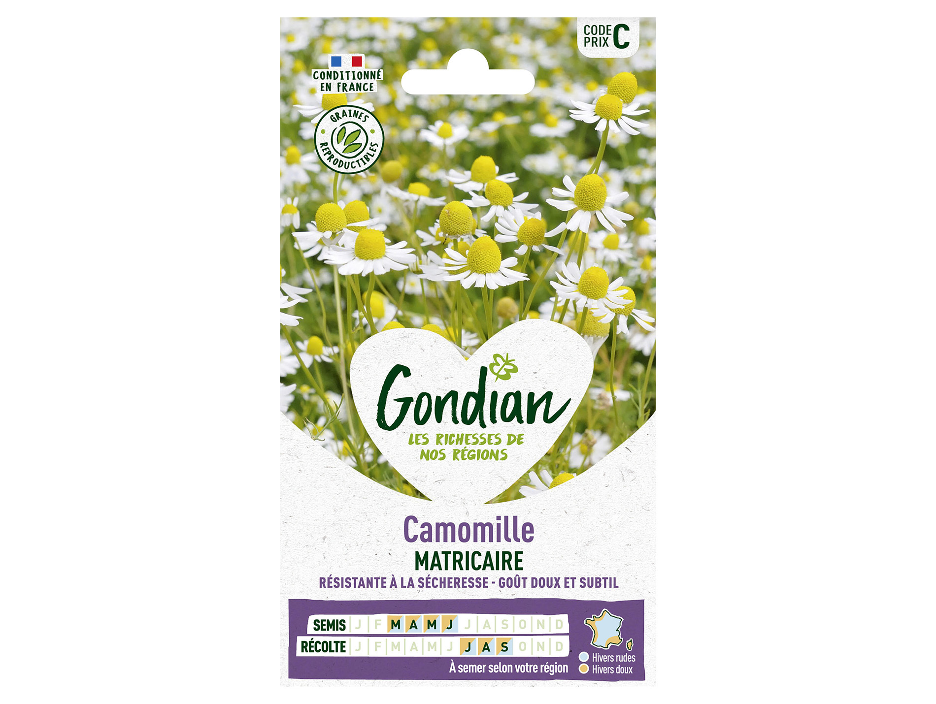 Camomille matricaire GONDIAN Série C