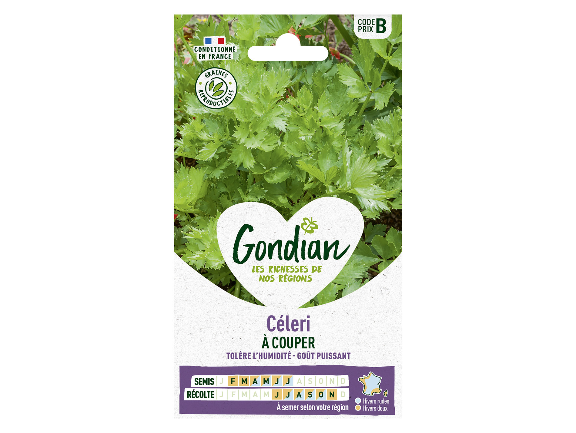 Céleri à couper GONDIAN Série B