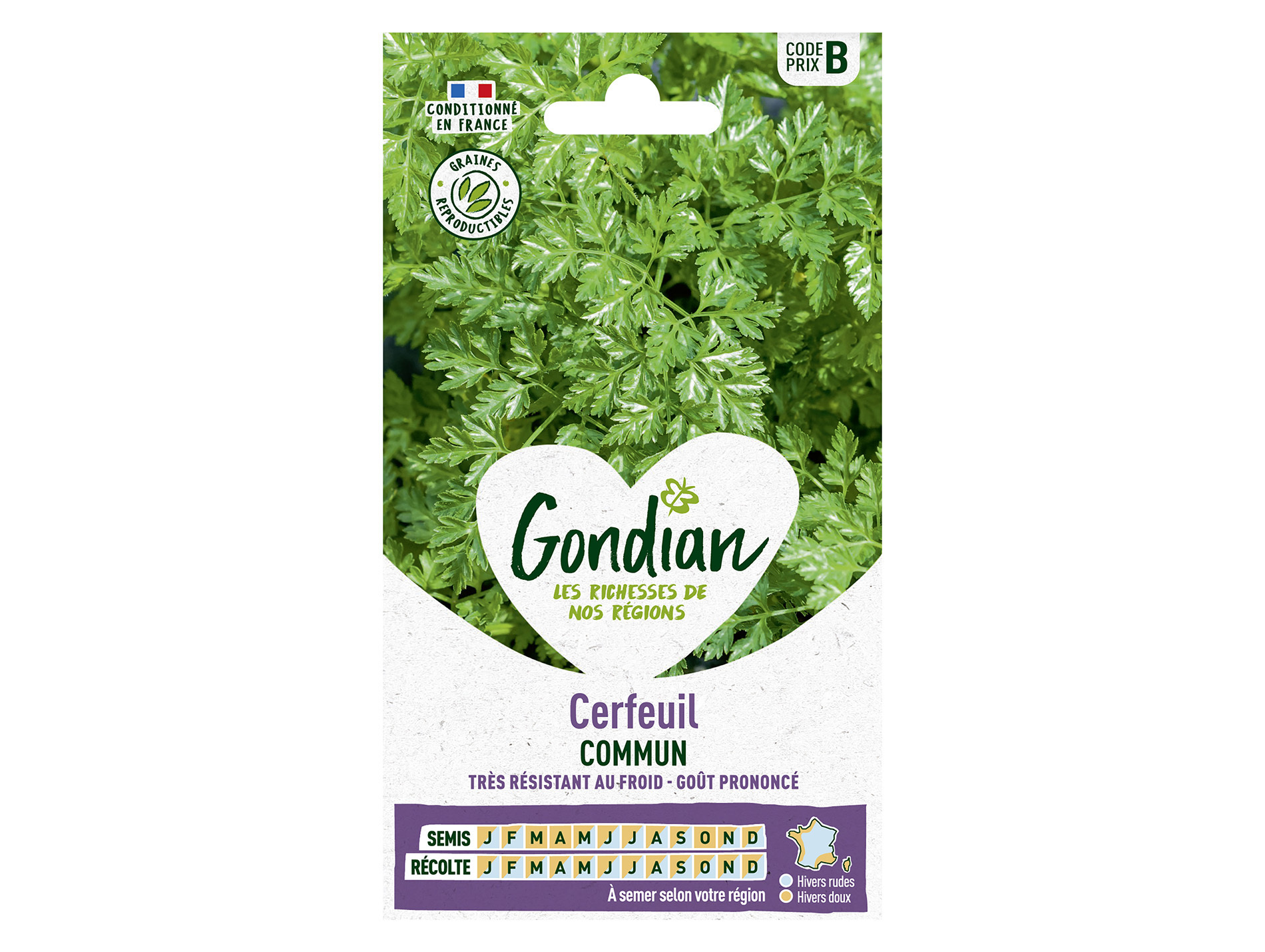 Cerfeuil commun GONDIAN Série B