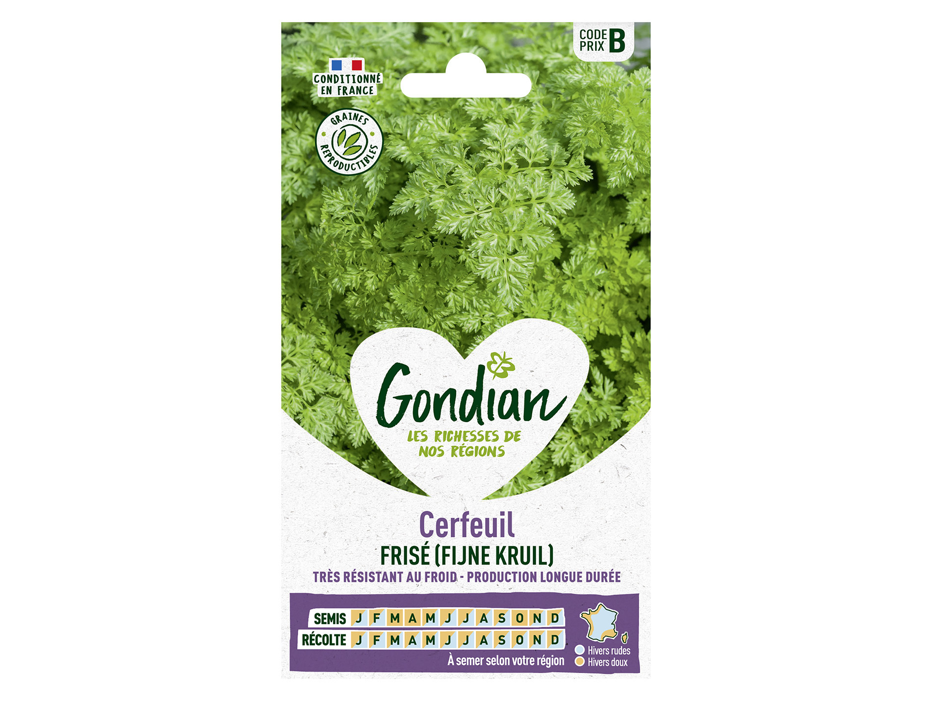 Cerfeuil frisé GONDIAN Série B