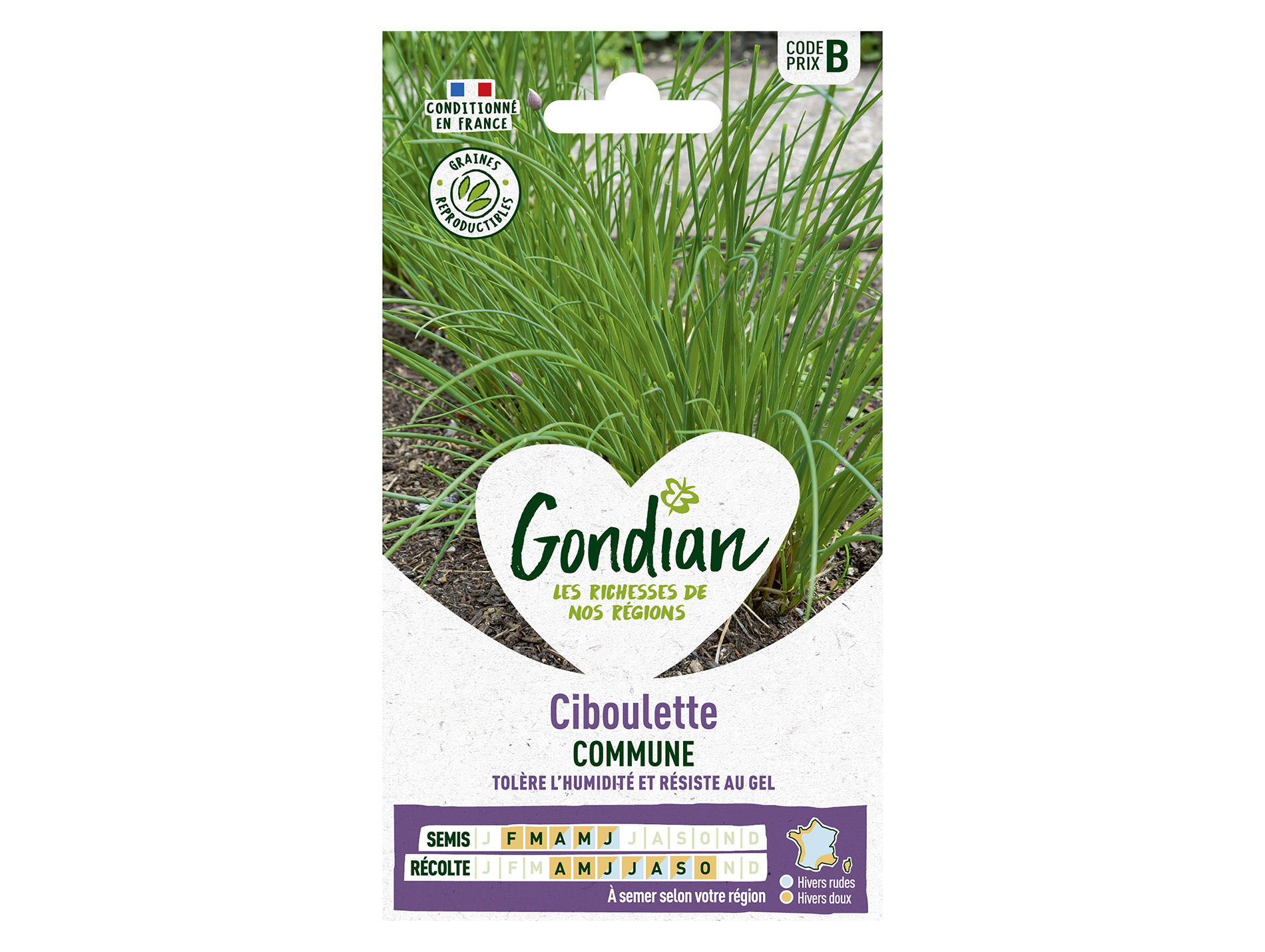 Ciboulette commune GONDIAN Série B