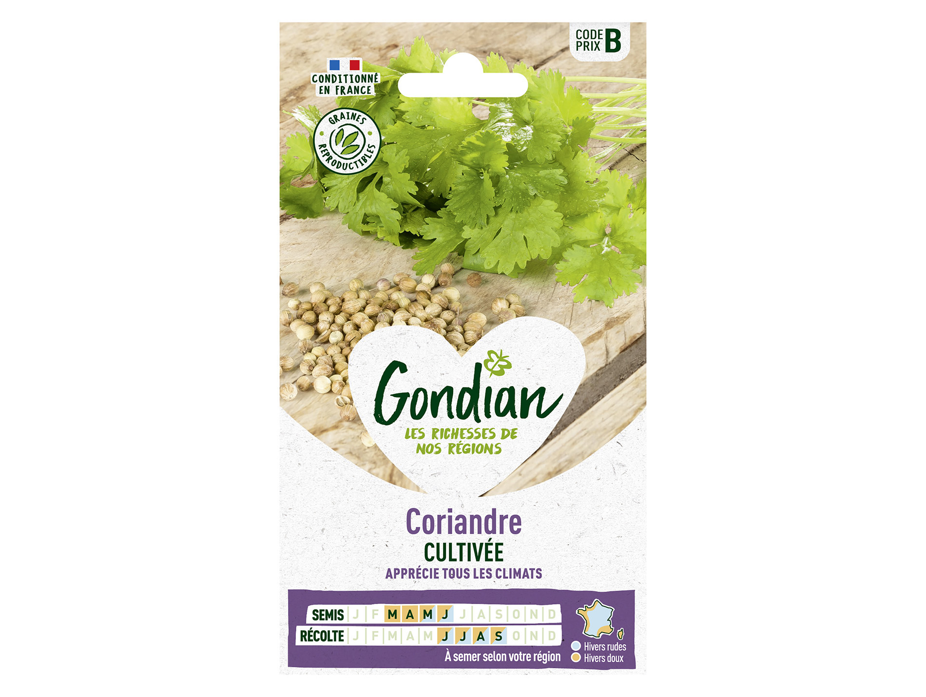 Coriandre cultivée GONDIAN Série B