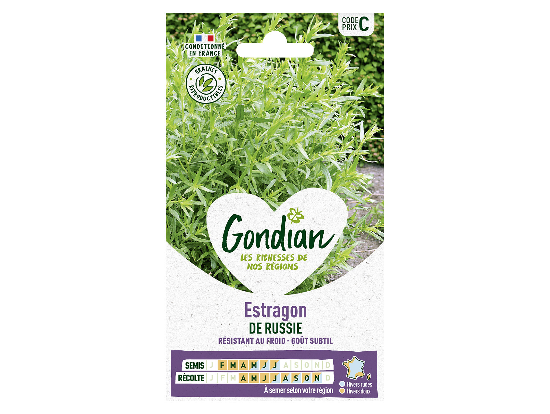 Estragon de Russie GONDIAN Série C