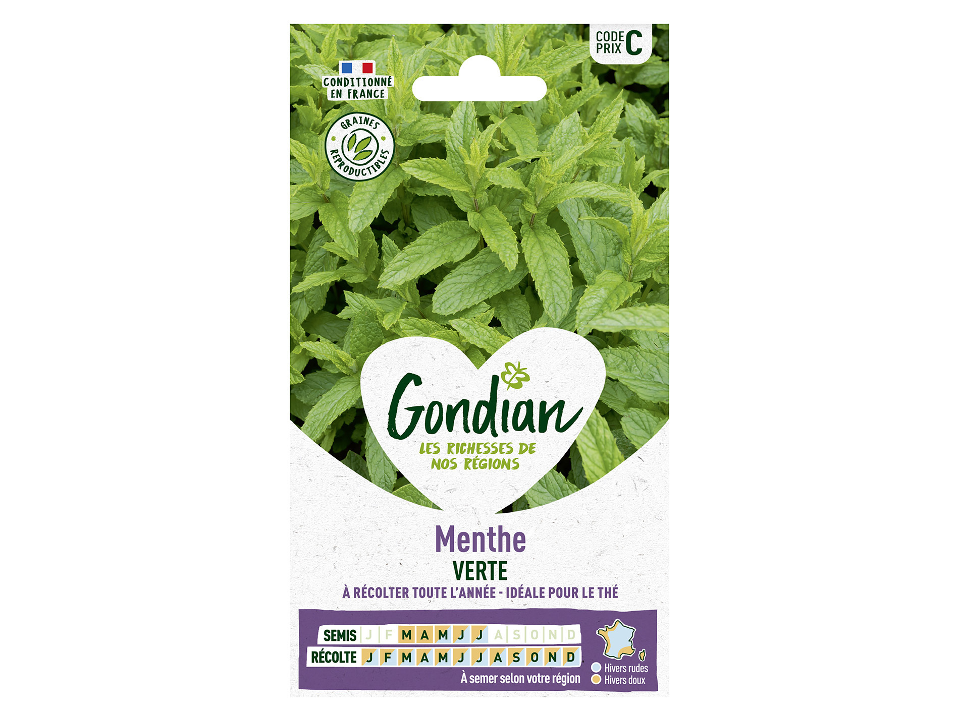 Menthe vert GONDIAN Série C