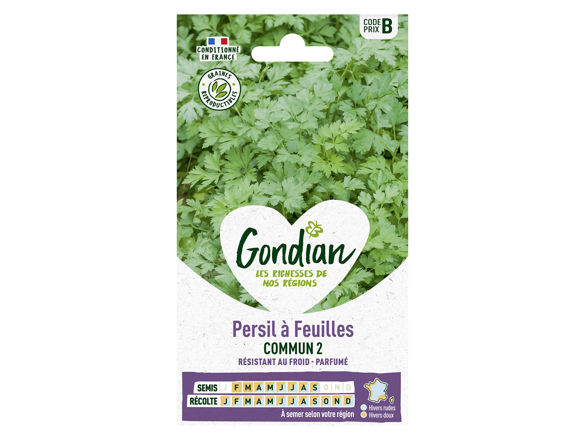 Persil à feuilles commun GONDIAN Série B
