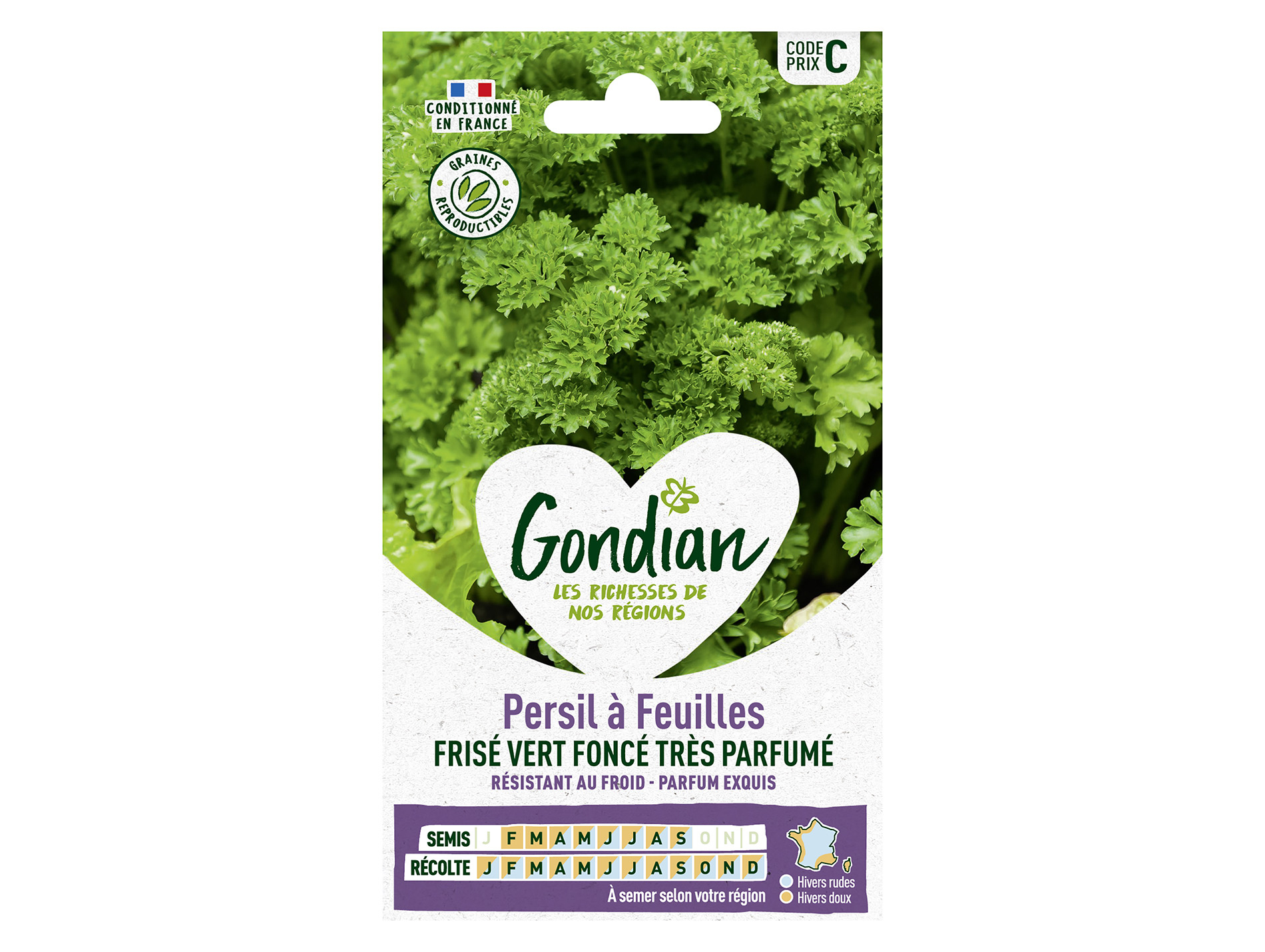Persil à feuilles frisé très parfumé GONDIAN Série C