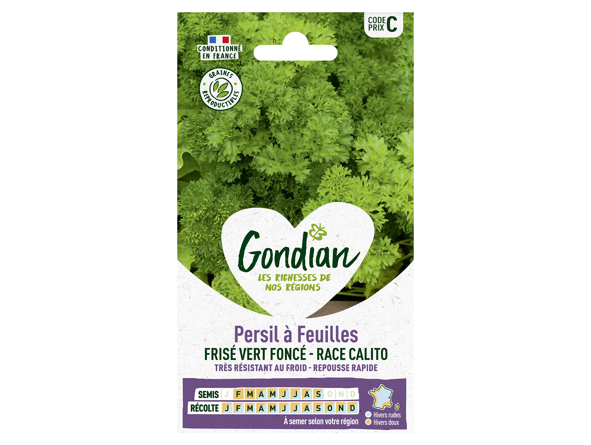 Persil à feuilles frisé vert foncé Calito GONDIAN Série C
