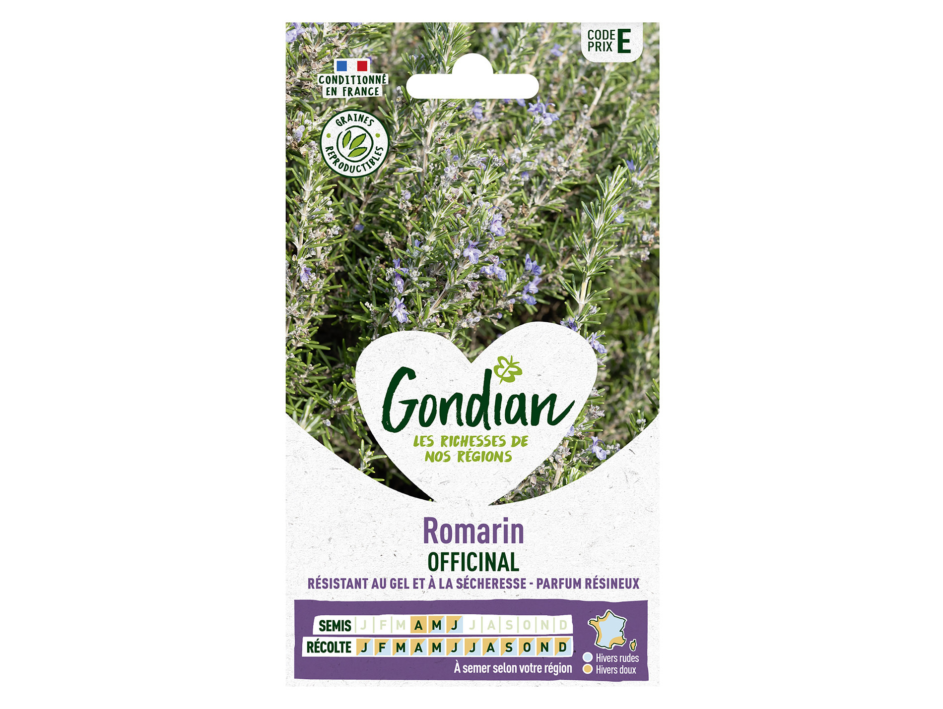 Romarin Officinal GONDIAN Série E