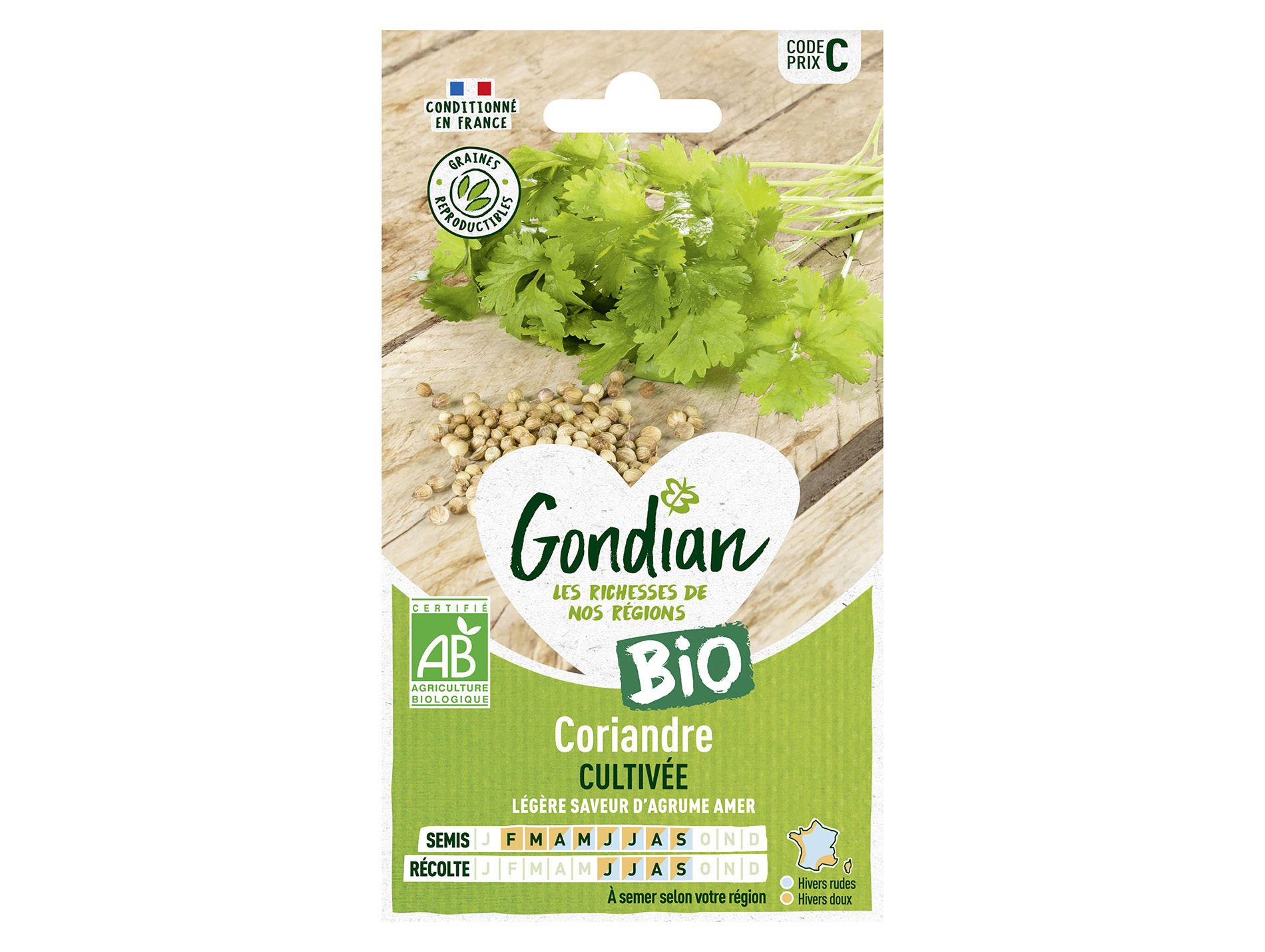 Coriandre cultivée bio GONDIAN Série C