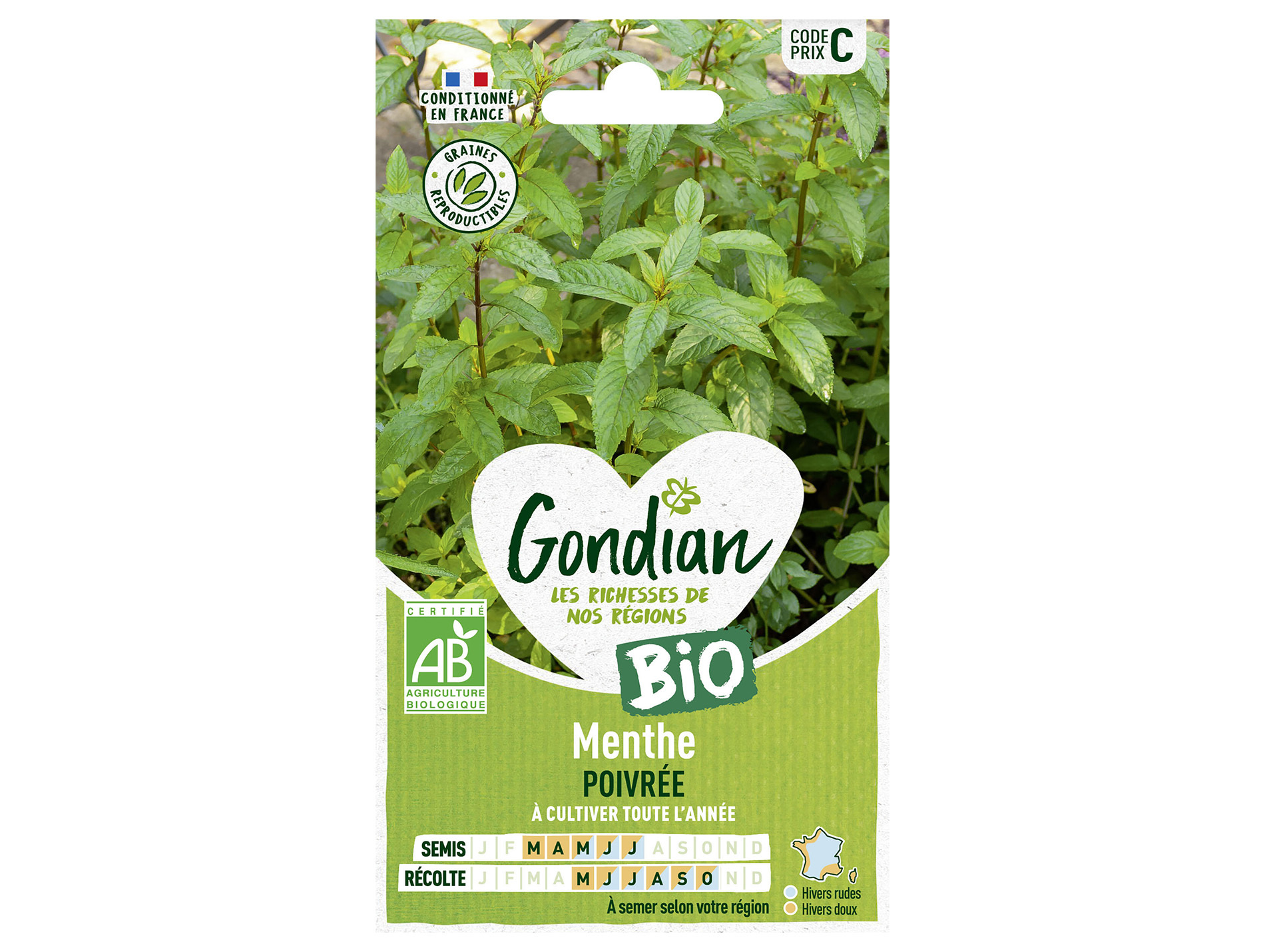 Menthe poivrée bio GONDIAN Série C