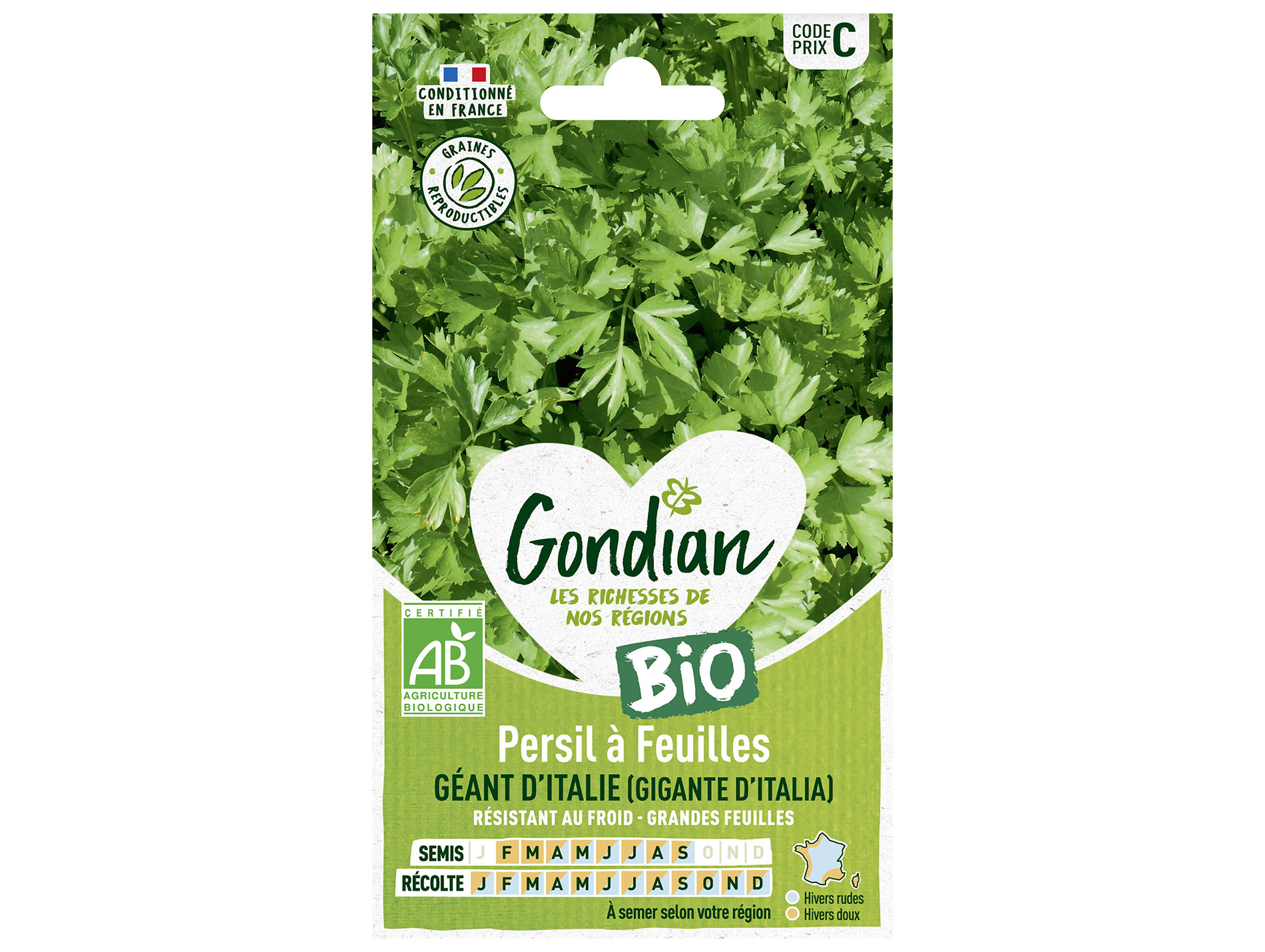 Persil à feuilles Géant d'Italie bio GONDIAN Série C