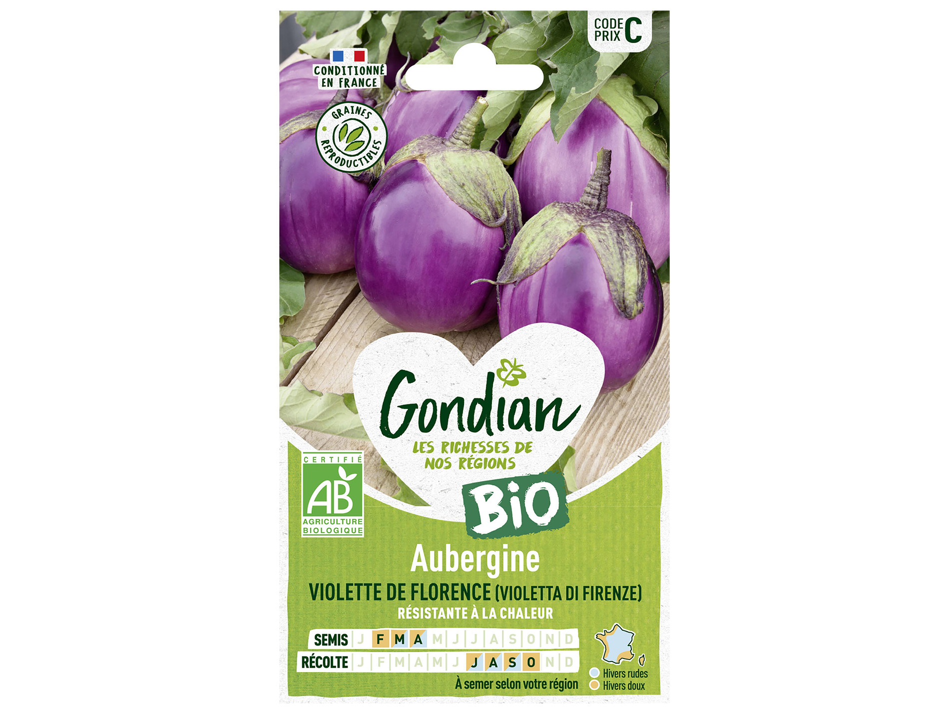 Aubergine violette florence bio GONDIAN Série C