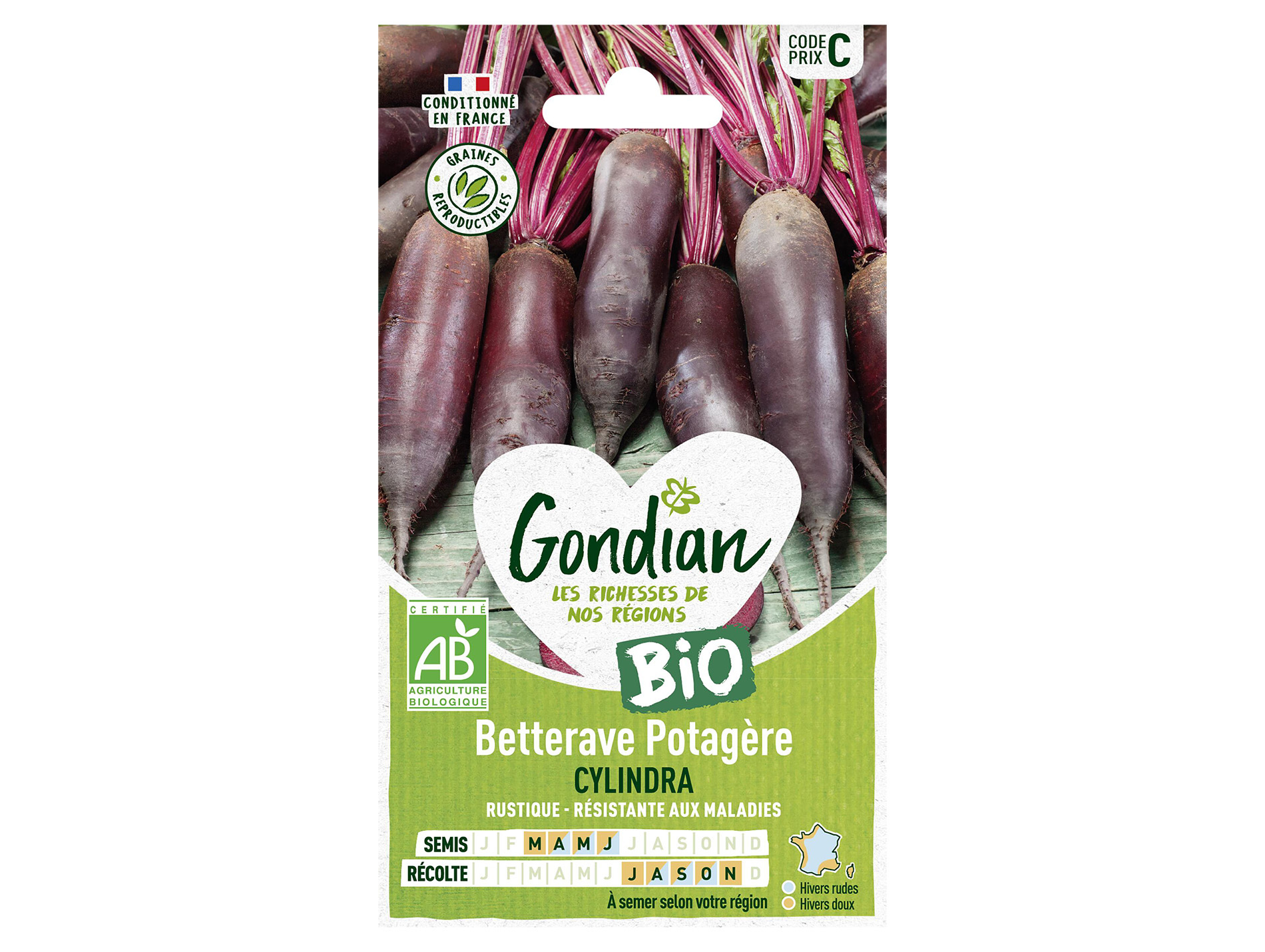 Betterave potagère Cylindra bio GONDIAN Série C
