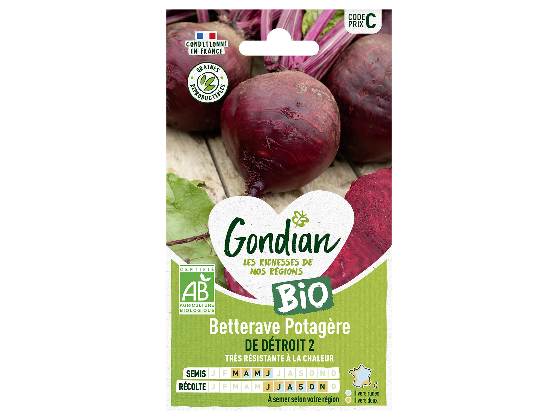 Betterave potagère Détroit 2 bio GONDIAN Série C
