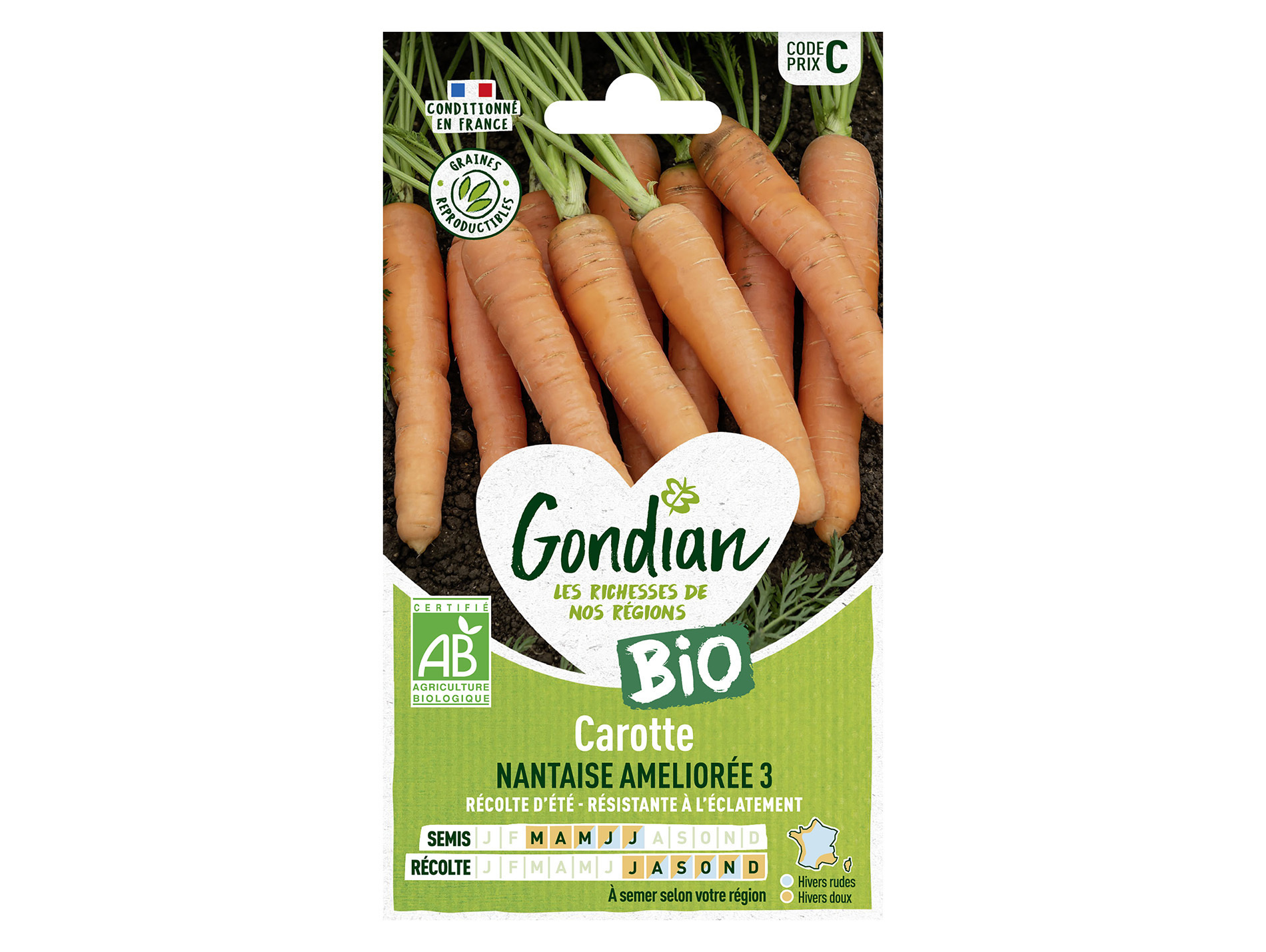 Carotte nantaise améliorée 3 bio GONDIAN Série C