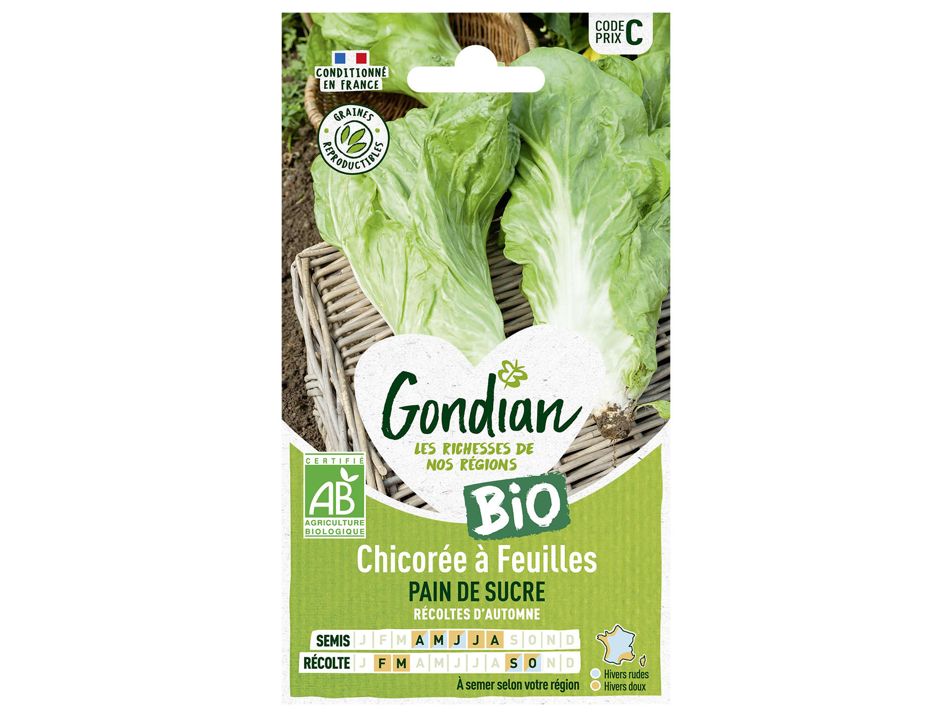 Chicorée à feuilles Pain de sucre bio GONDIAN Série C
