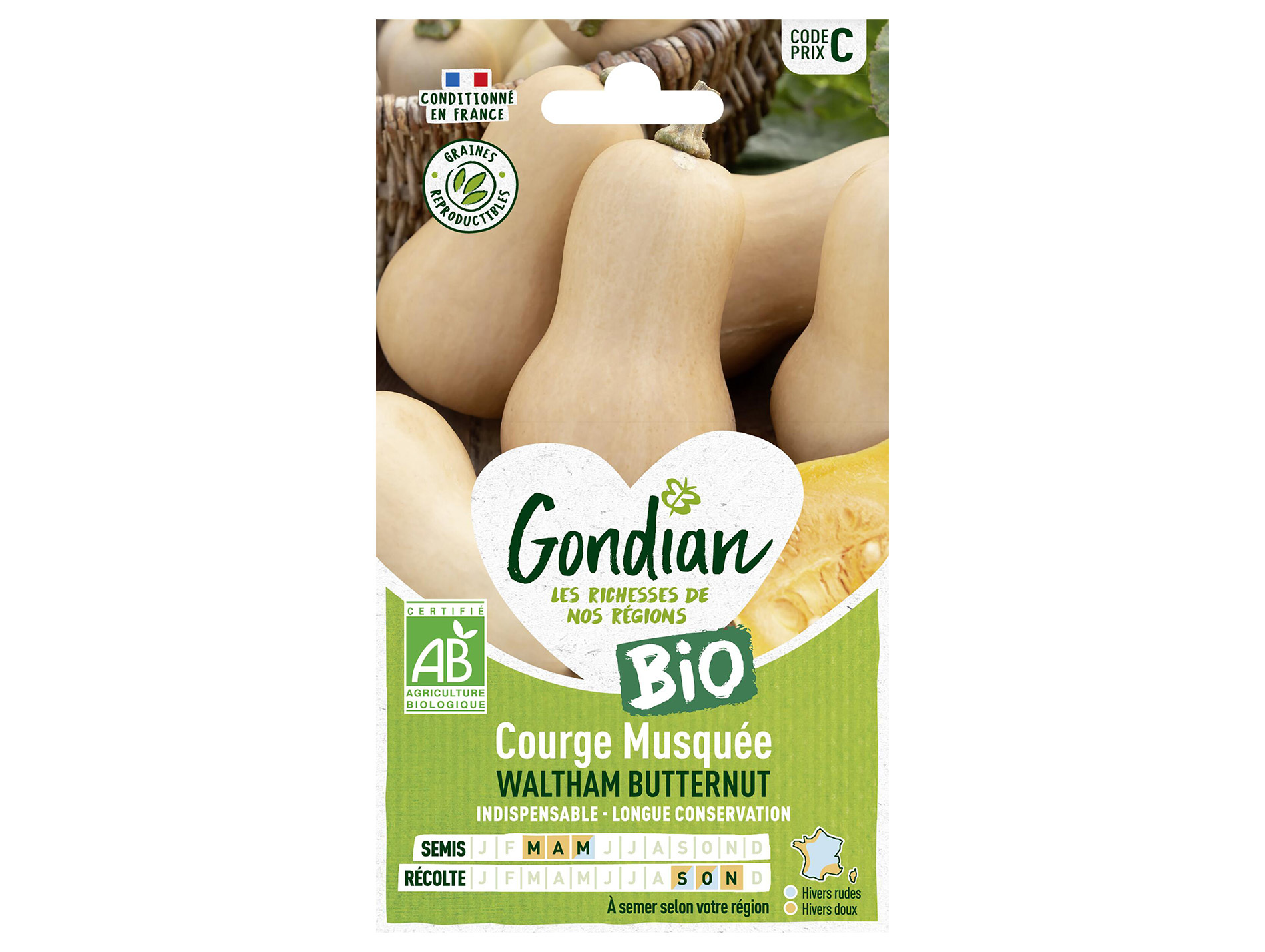 Courge musquée Waltham butternut bio GONDIAN Série C