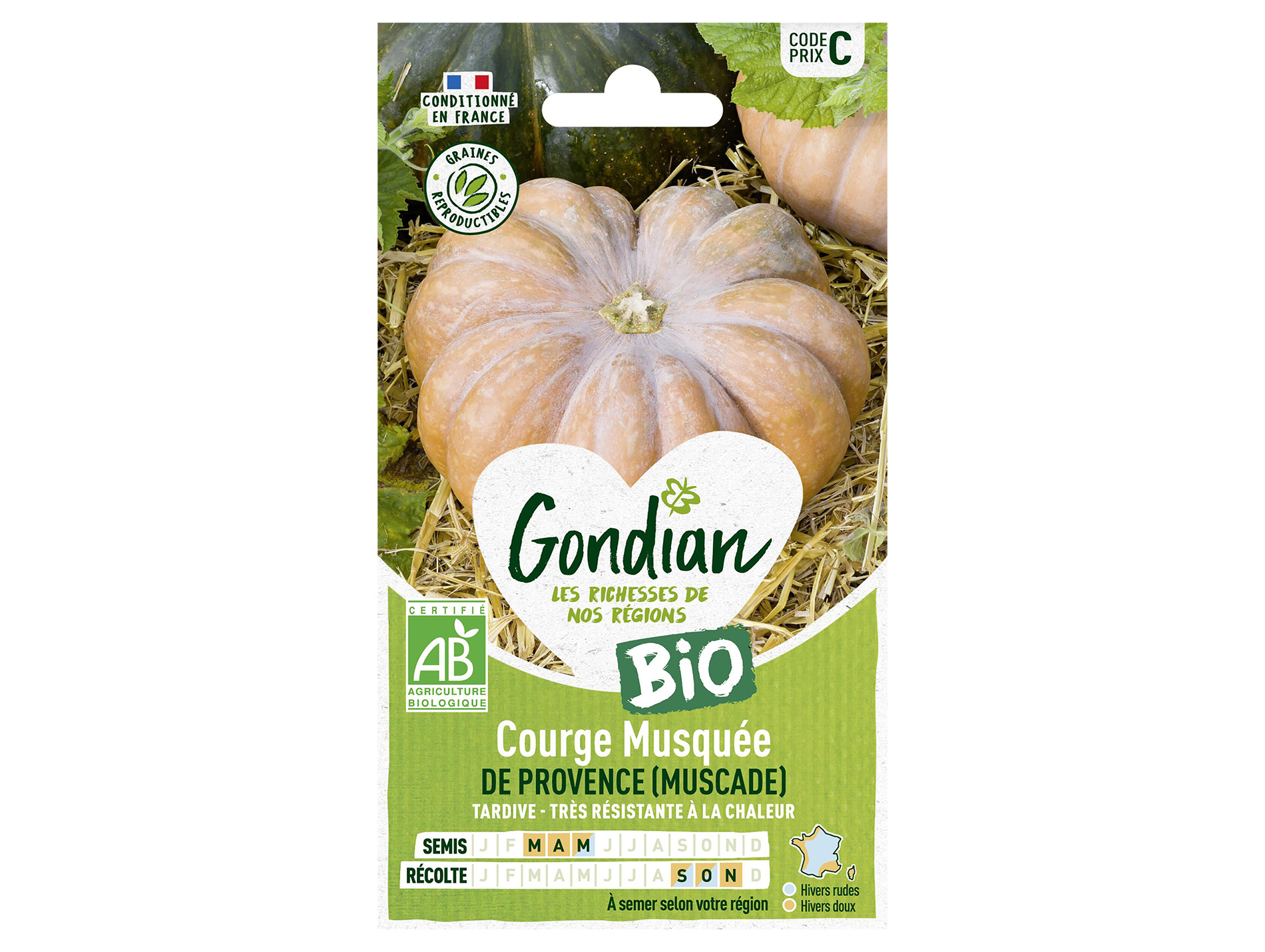 Courge musquée de Provence bio GONDIAN Série C