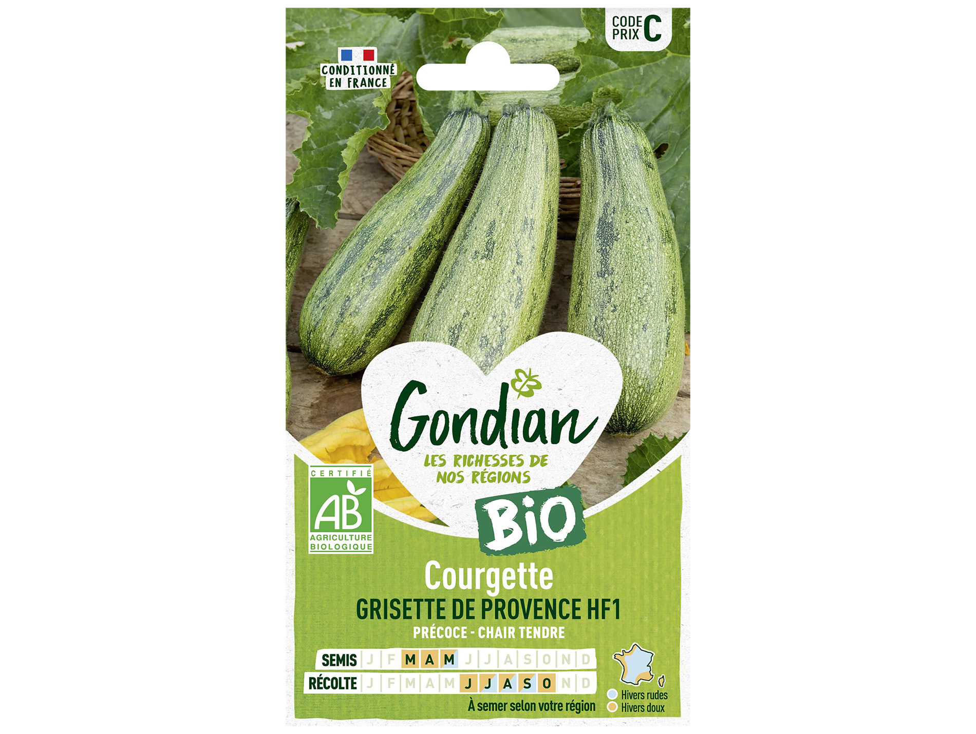 Courgette grisette de Provence HF1 bio GONDIAN Série C
