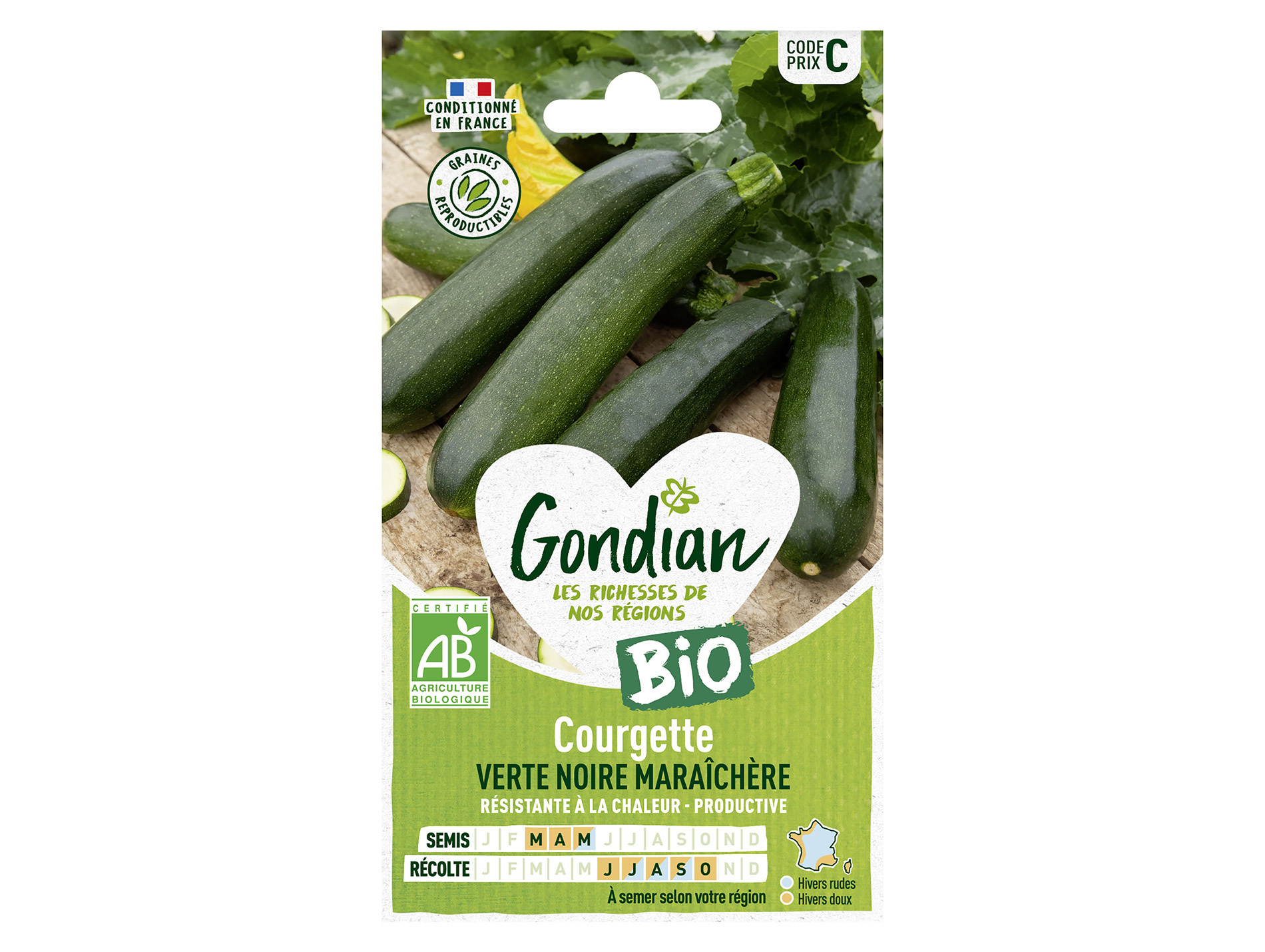 Courgette verte noire maraîchère bio GONDIAN Série C