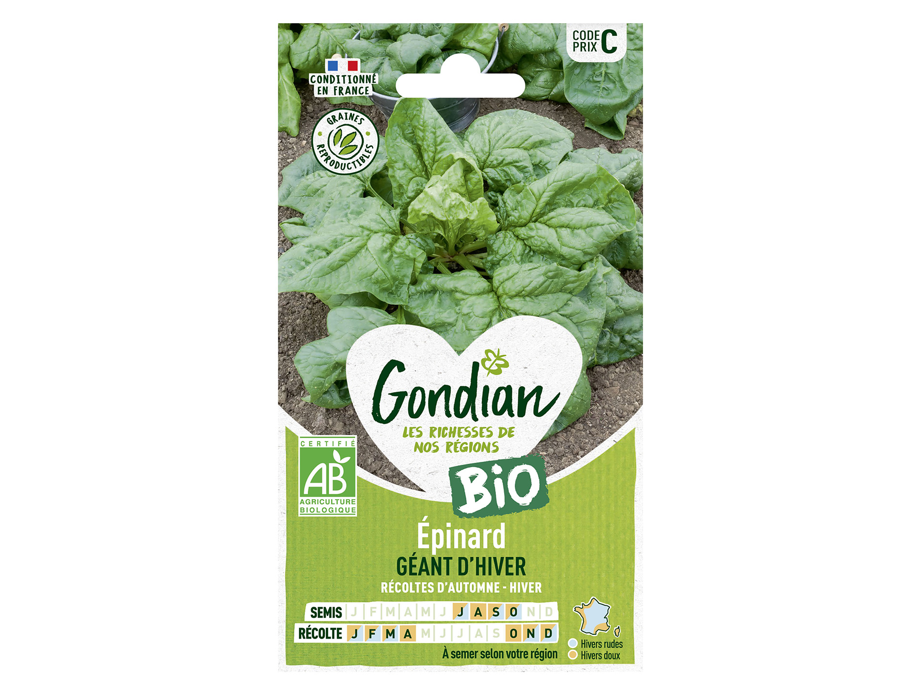 Epinard Géant d'Hiver bio GONDIAN Série C