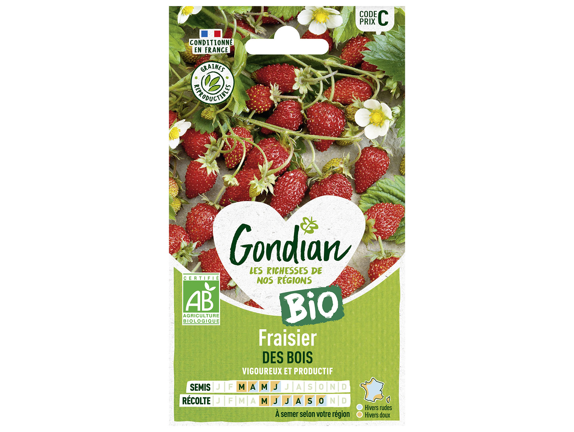 Fraisier des Bois bio GONDIAN Série C