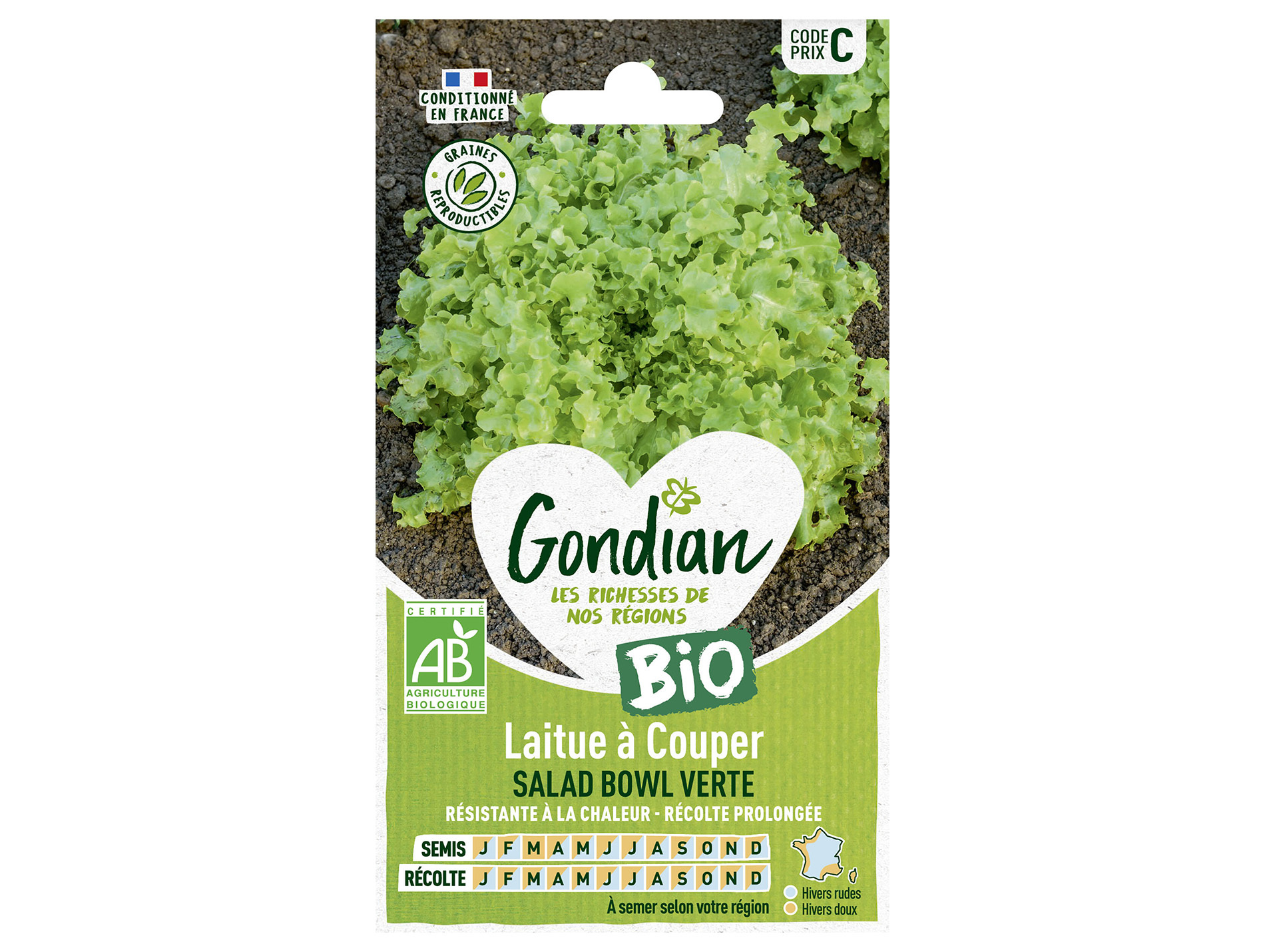 Laitue à couper Bowl verte bio GONDIAN Série B