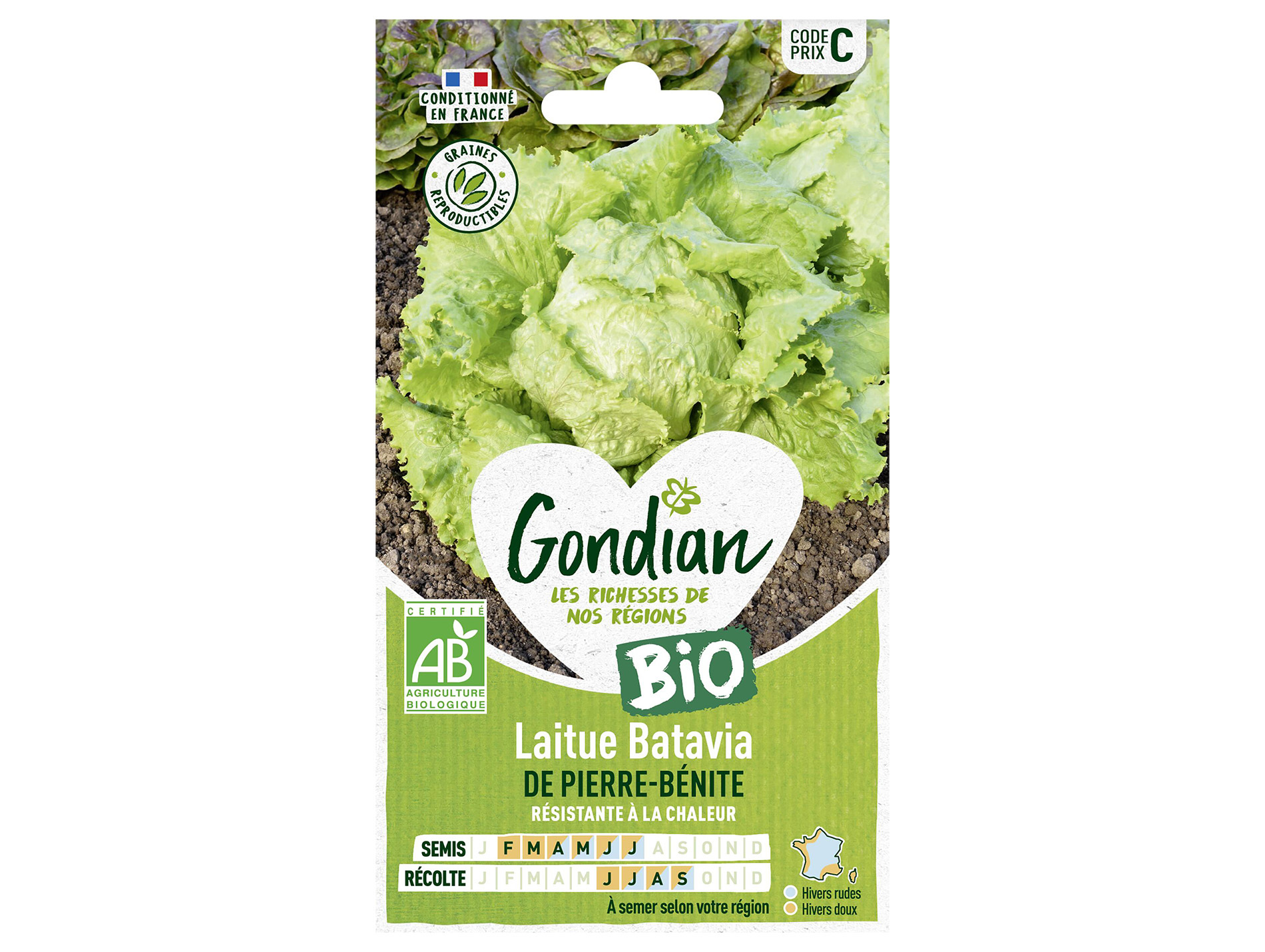 Laitue batavia Pierre Bénite bio GONDIAN Série C