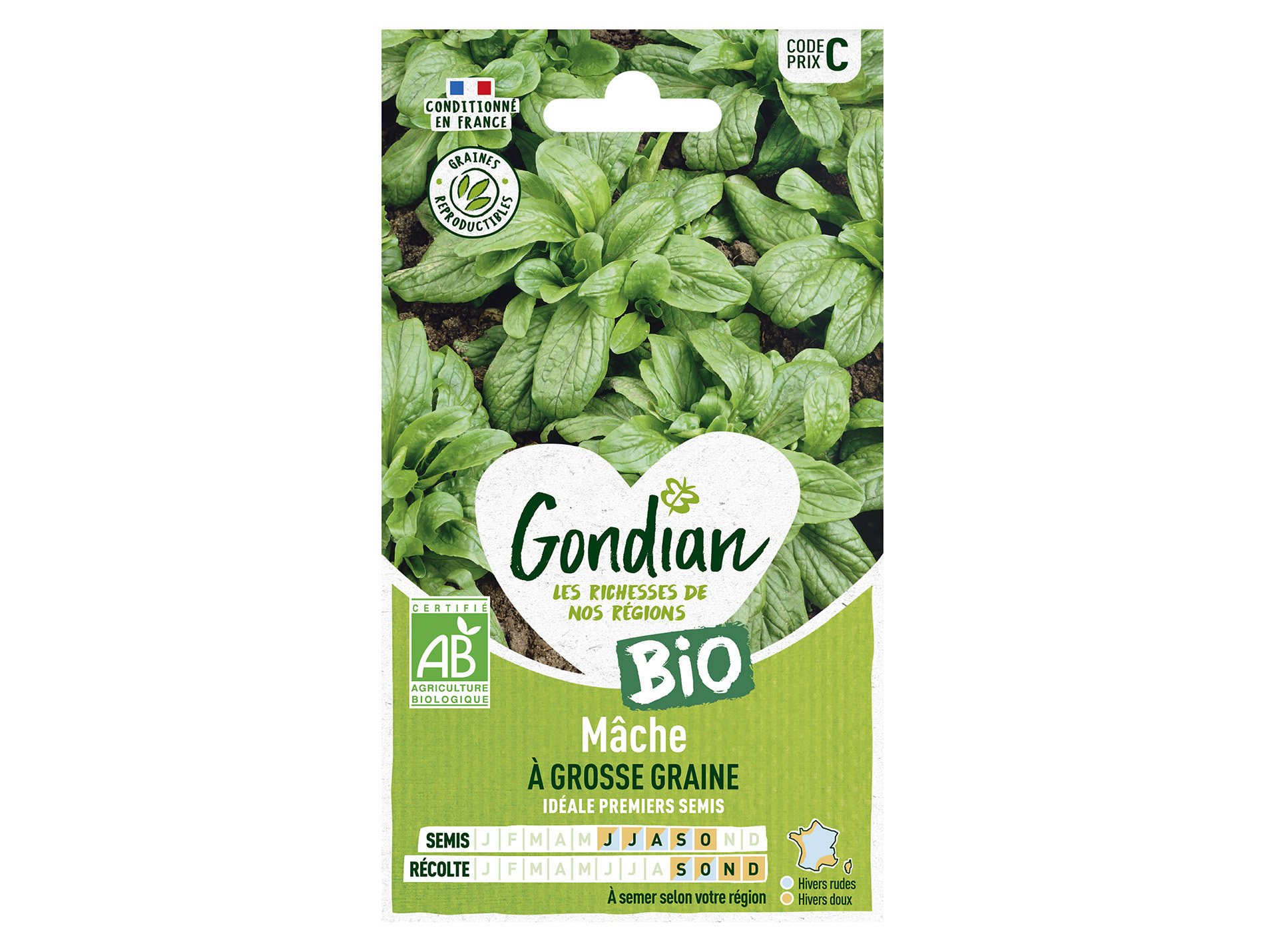 Mâche à grosse graine bio GONDIAN Série C