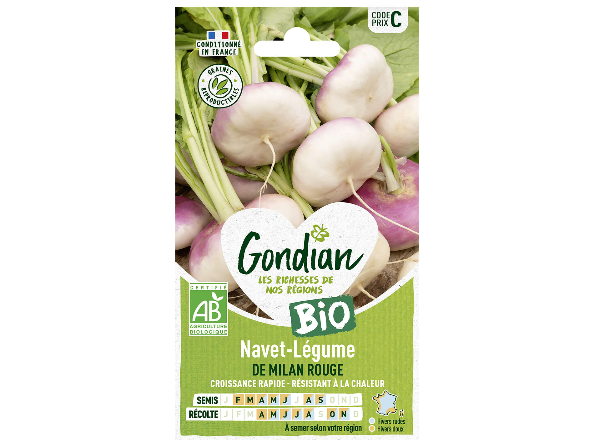 Navet rouge de Milan bio GONDIAN Série C