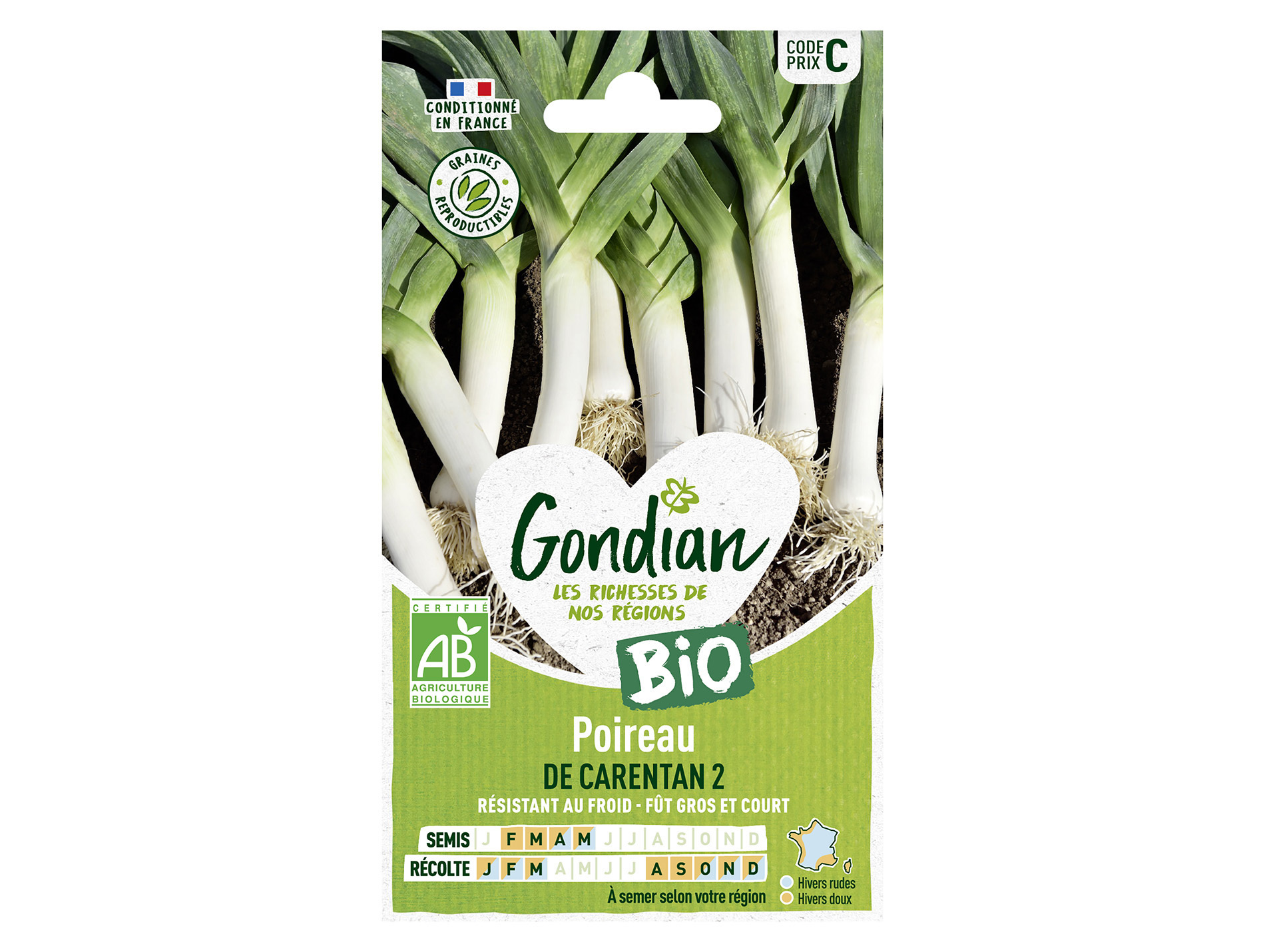 Poireau de Carentan 2 bio GONDIAN Série C