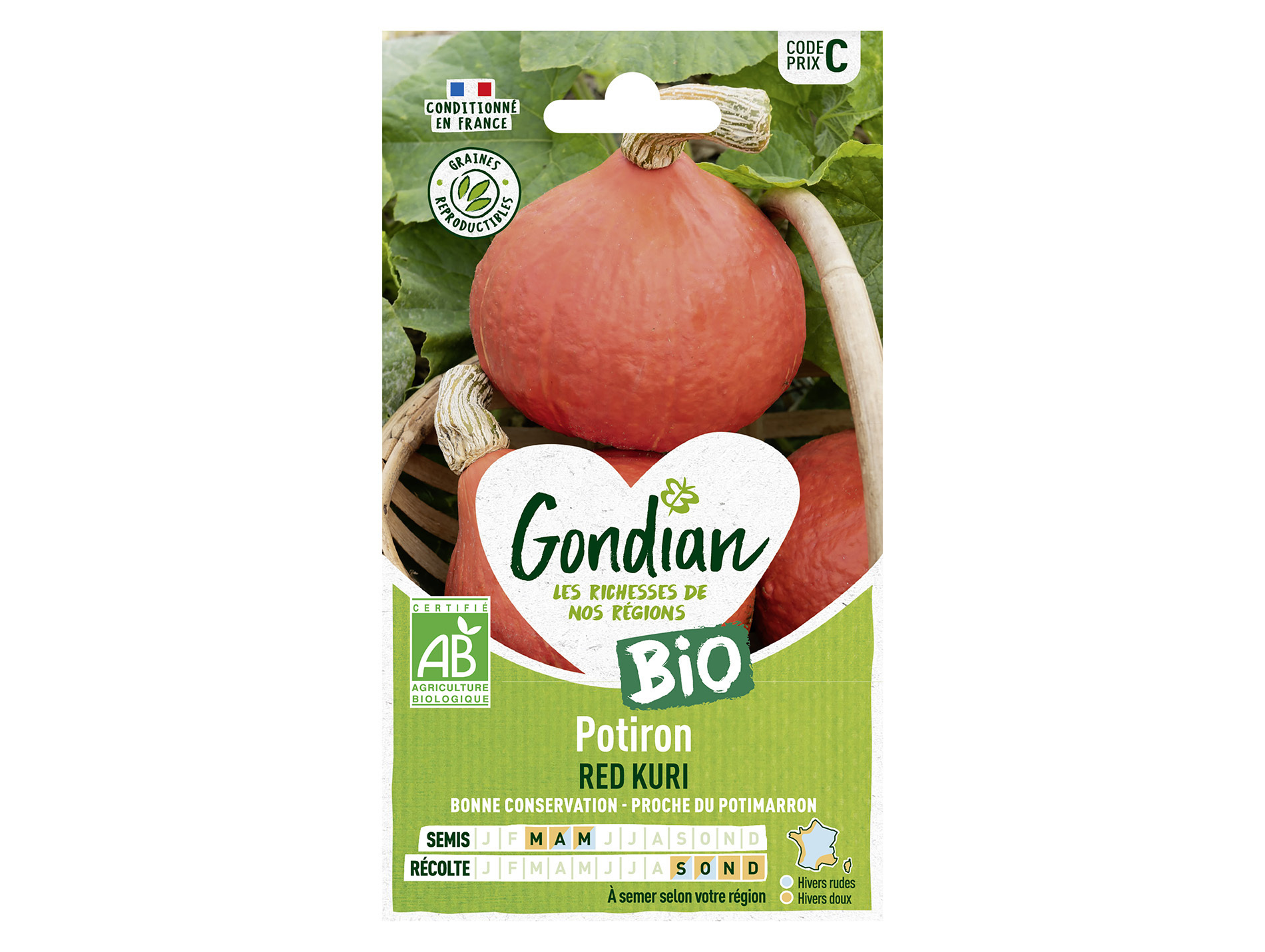 Potiron Red Kury bio GONDIAN Série C