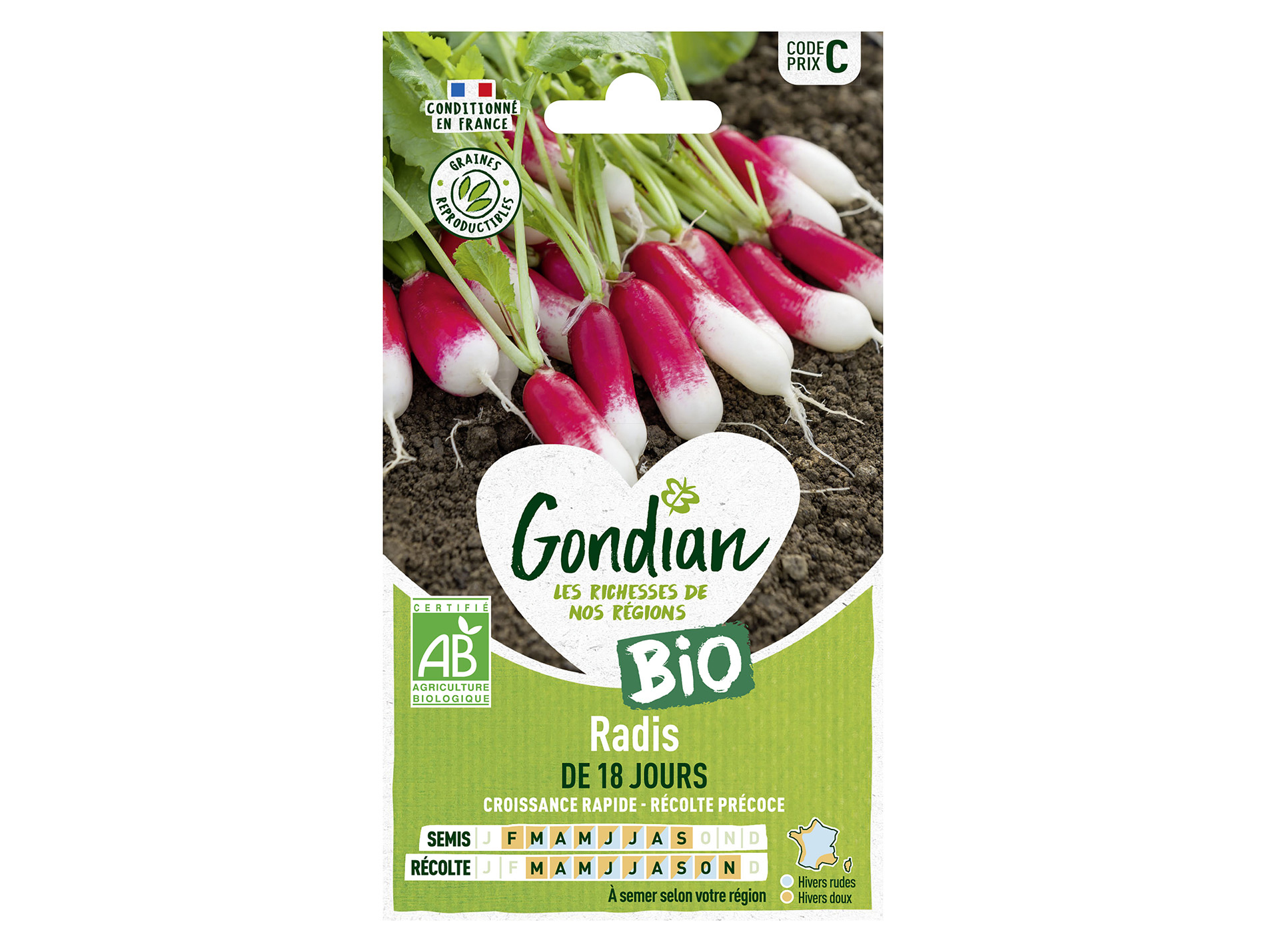 Radis demi-long 18 jours bio GONDIAN Série