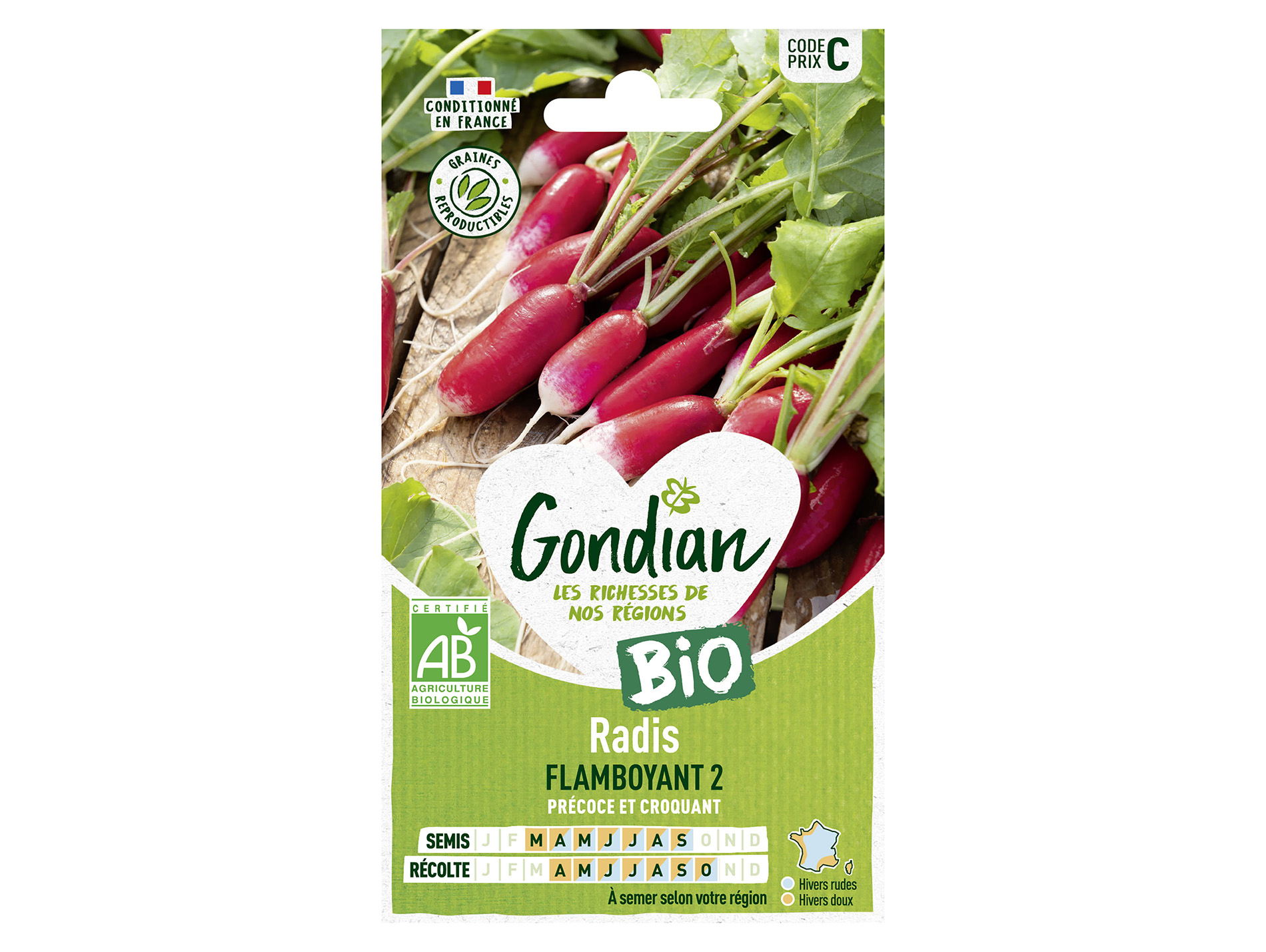 Radis demi-long Flamboyant bio GONDIAN Série C
