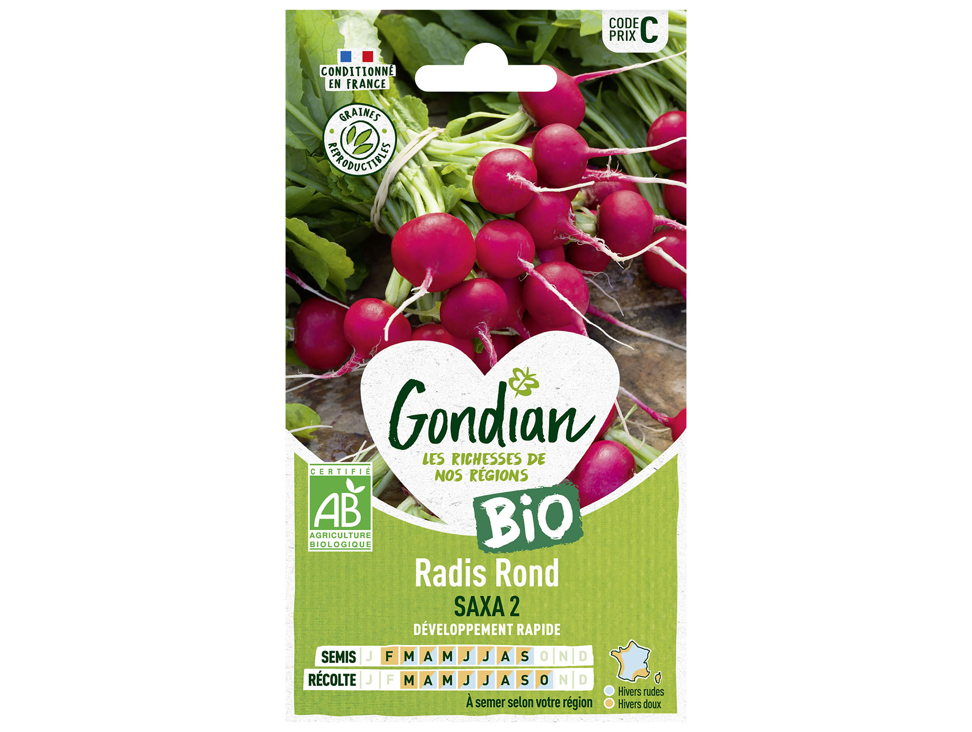 Radis rond rouge Saxa 2 bio GONDIAN Série C