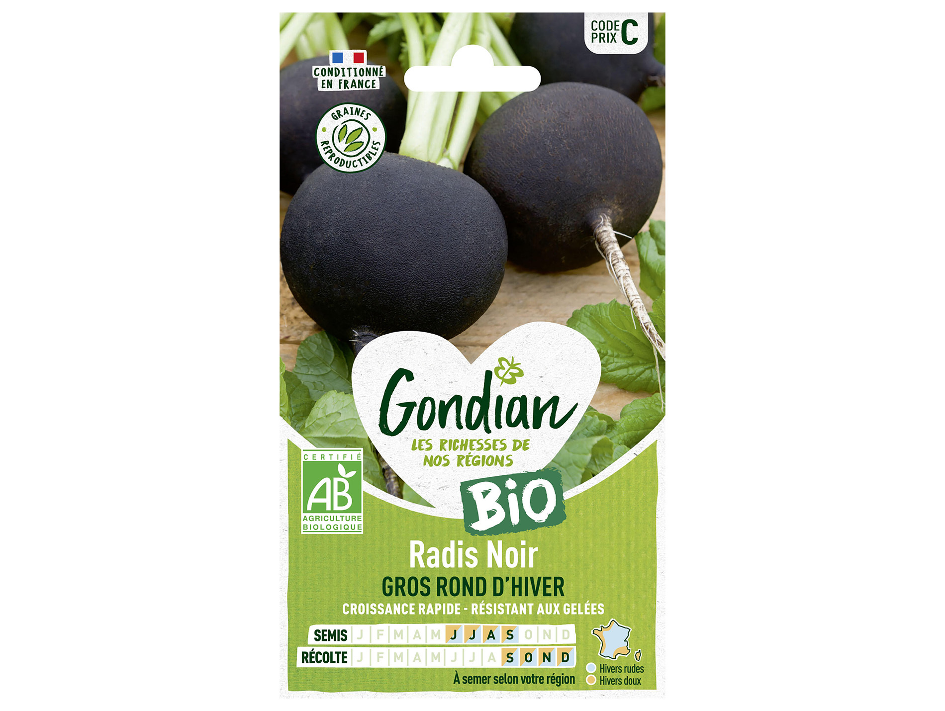 Radis noir gros rond d'Hiver bio GONDIAN Série C