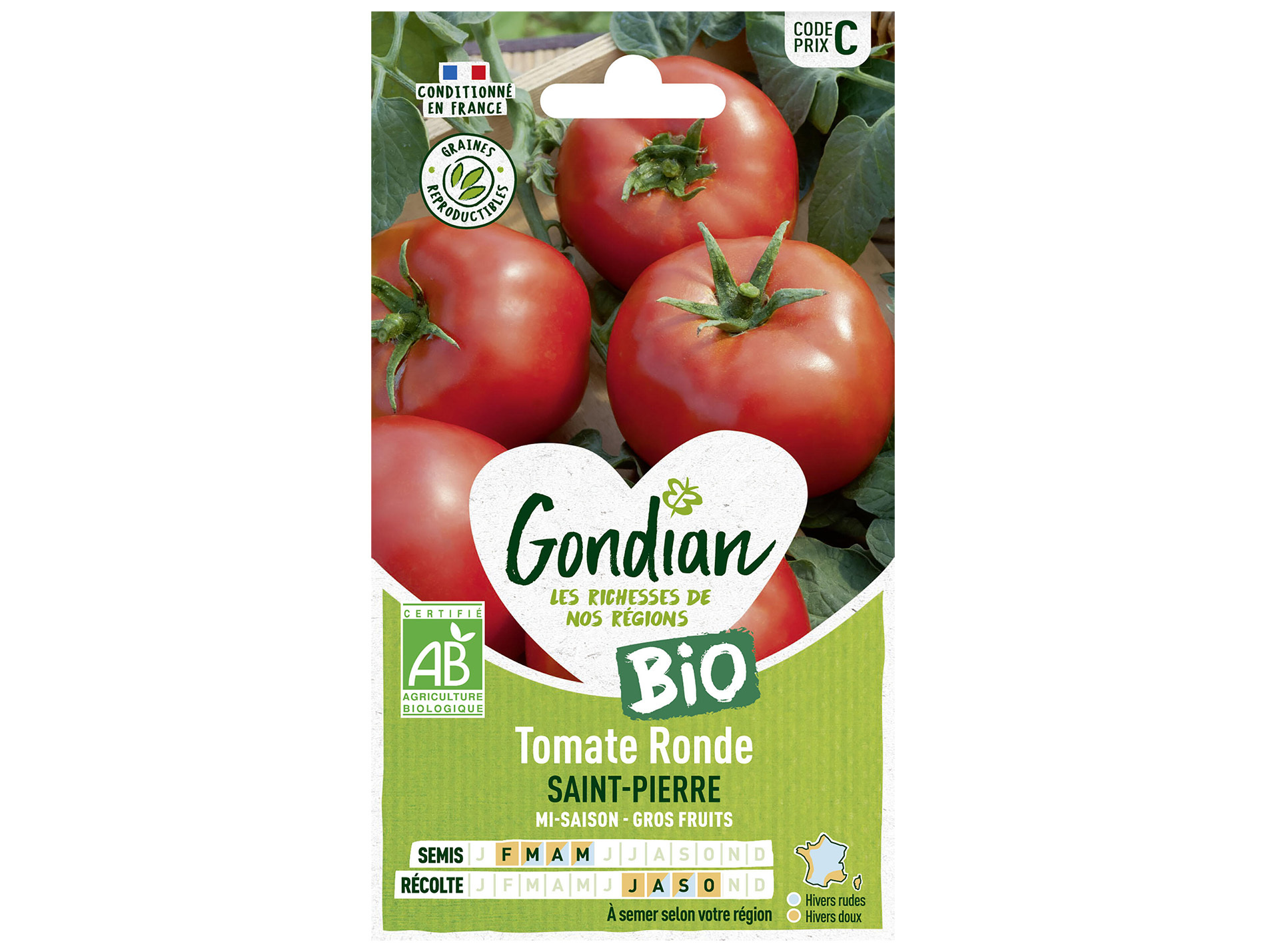 Tomate Saint Pierre bio GONDIAN Série C