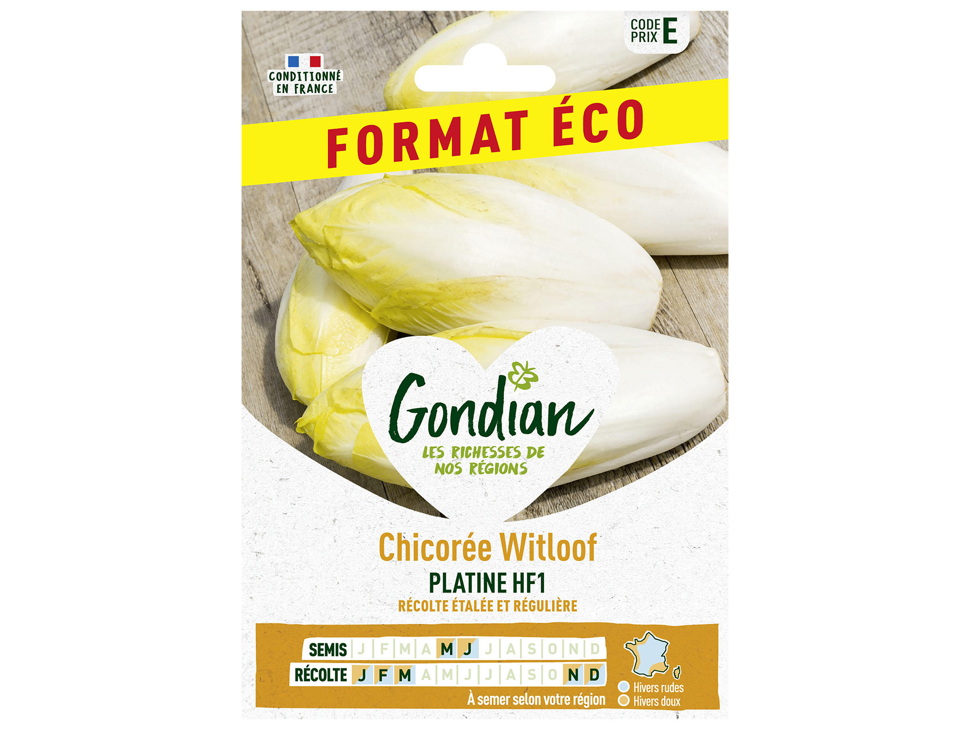 Chicorée Witloof platine HF1 éco GONDIAN Série E
