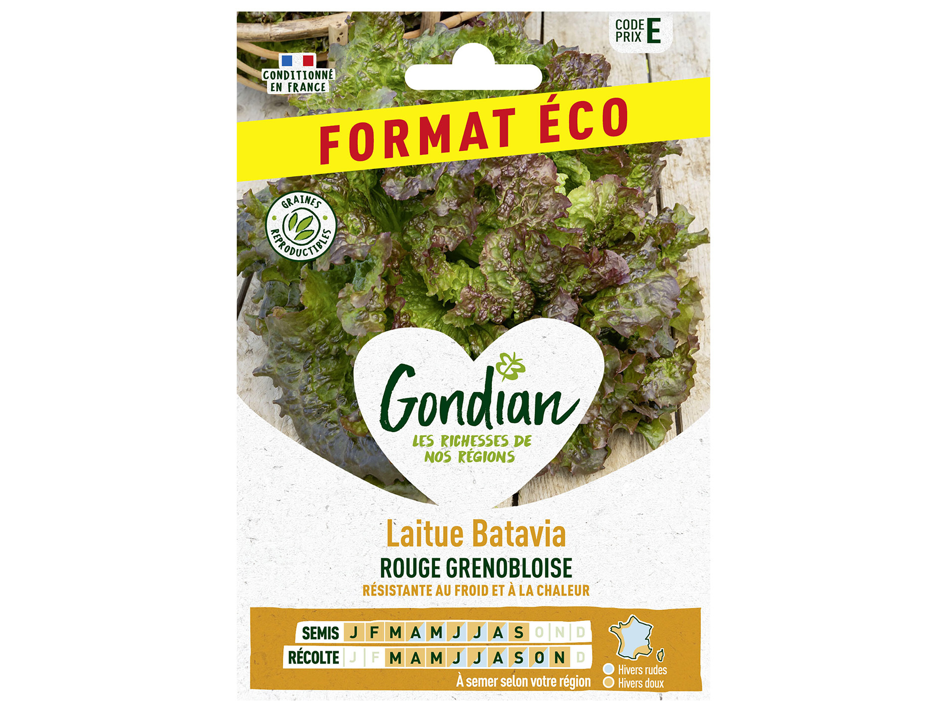 Laitue batavia rouge Grenobloise éco GONDIAN Série E