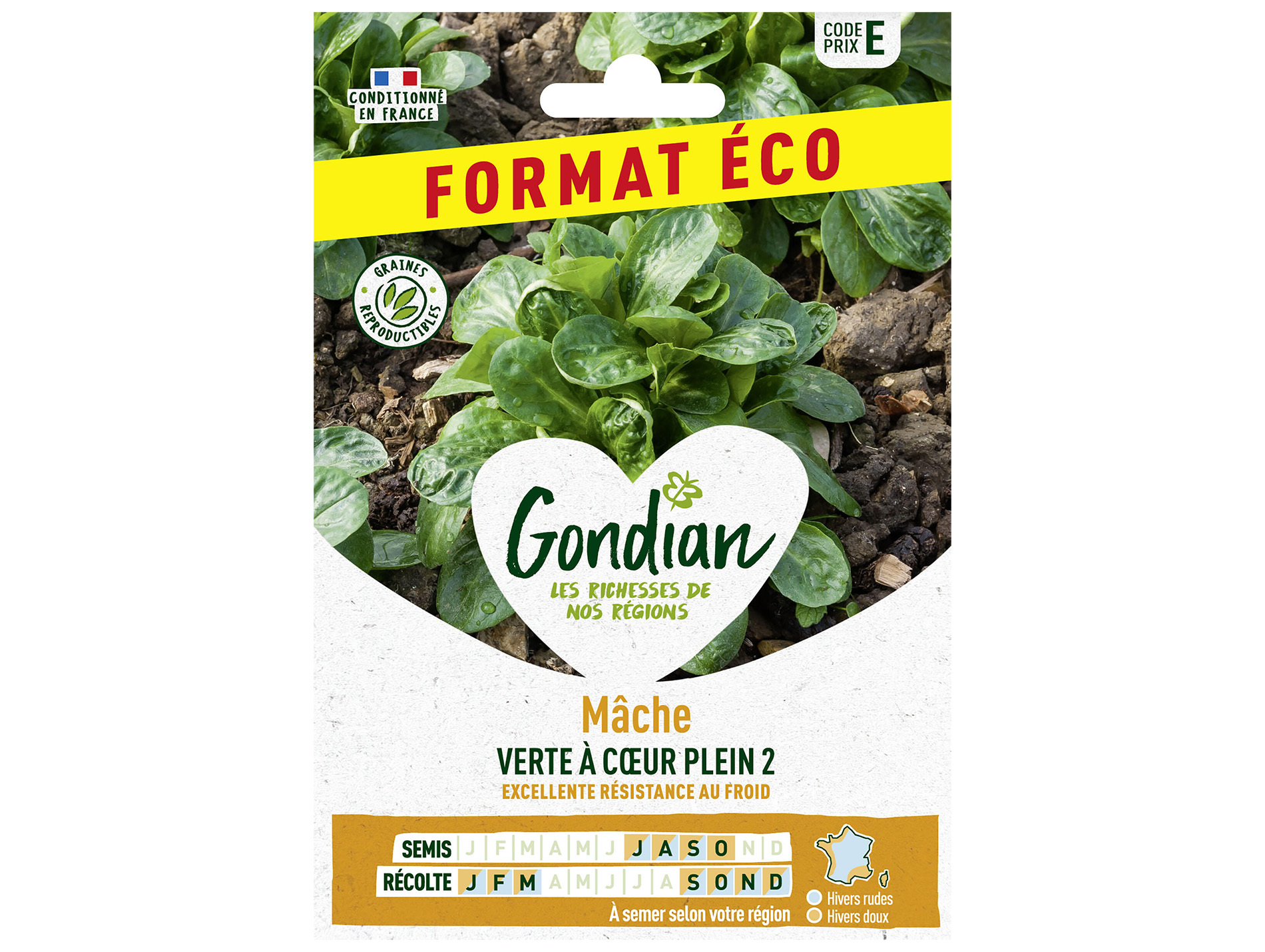 Mâche ronde verte à coeur plein éco GONDIAN Série B
