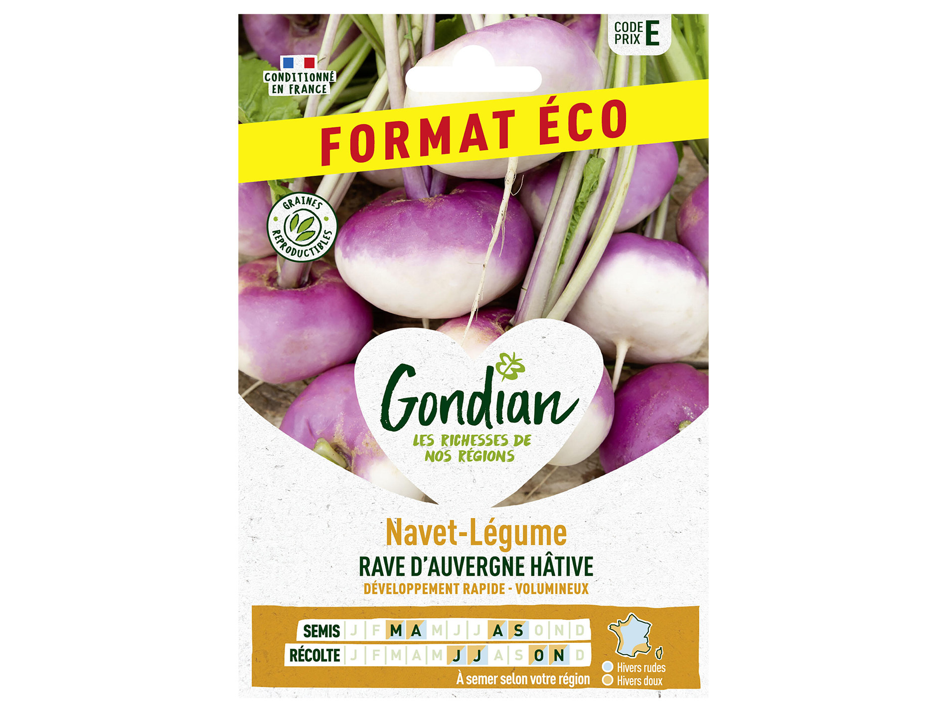 Navet rave d'Auvergne éco GONDIAN Série E