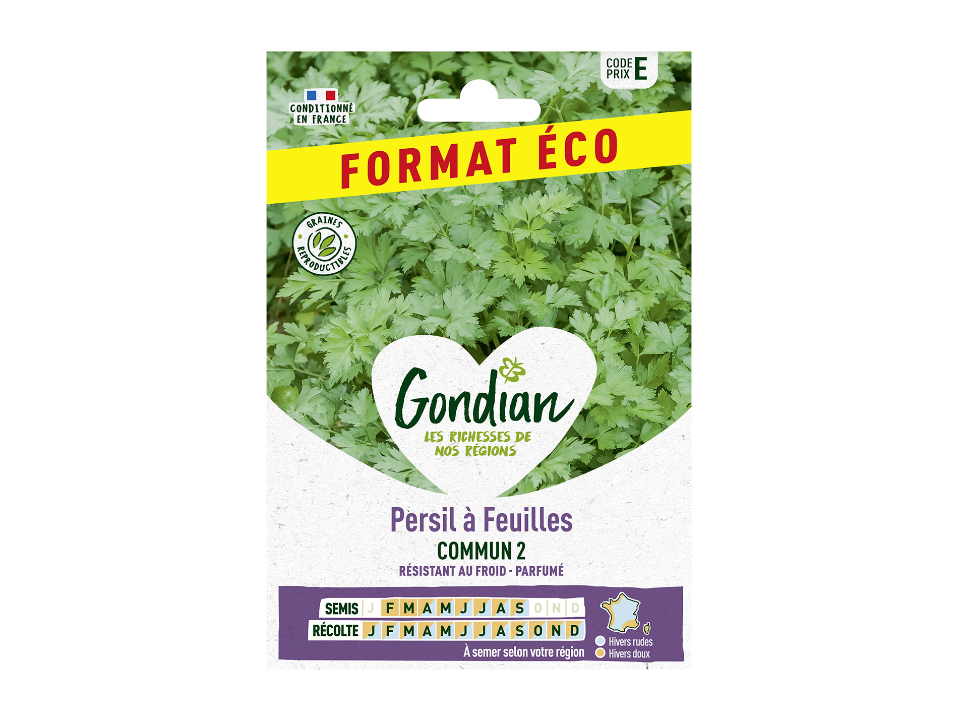 Persil à feuilles commun 2 GONDIAN Série E