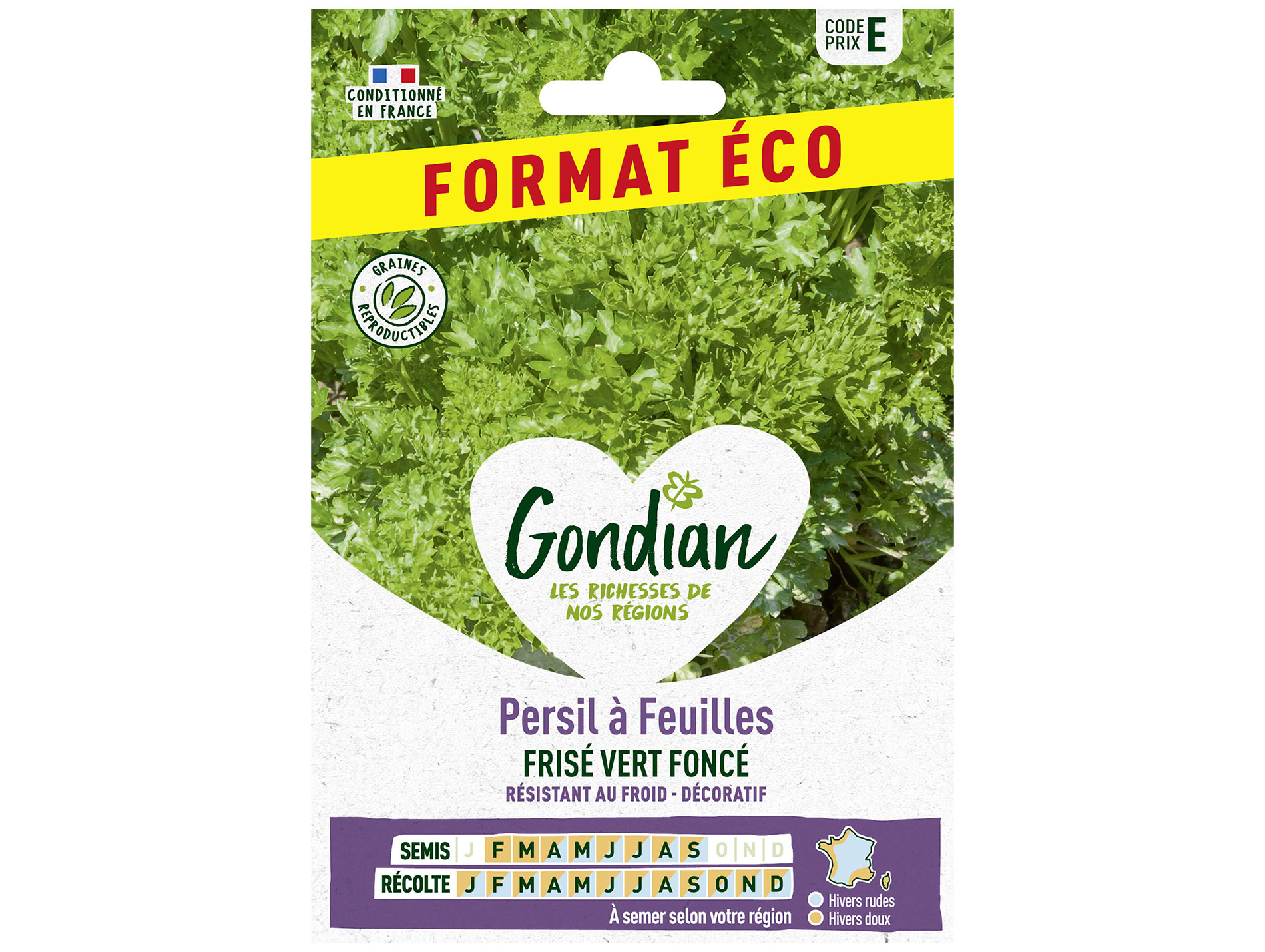 Persil à feuilles frisé vert foncé éco GONDIAN Série E