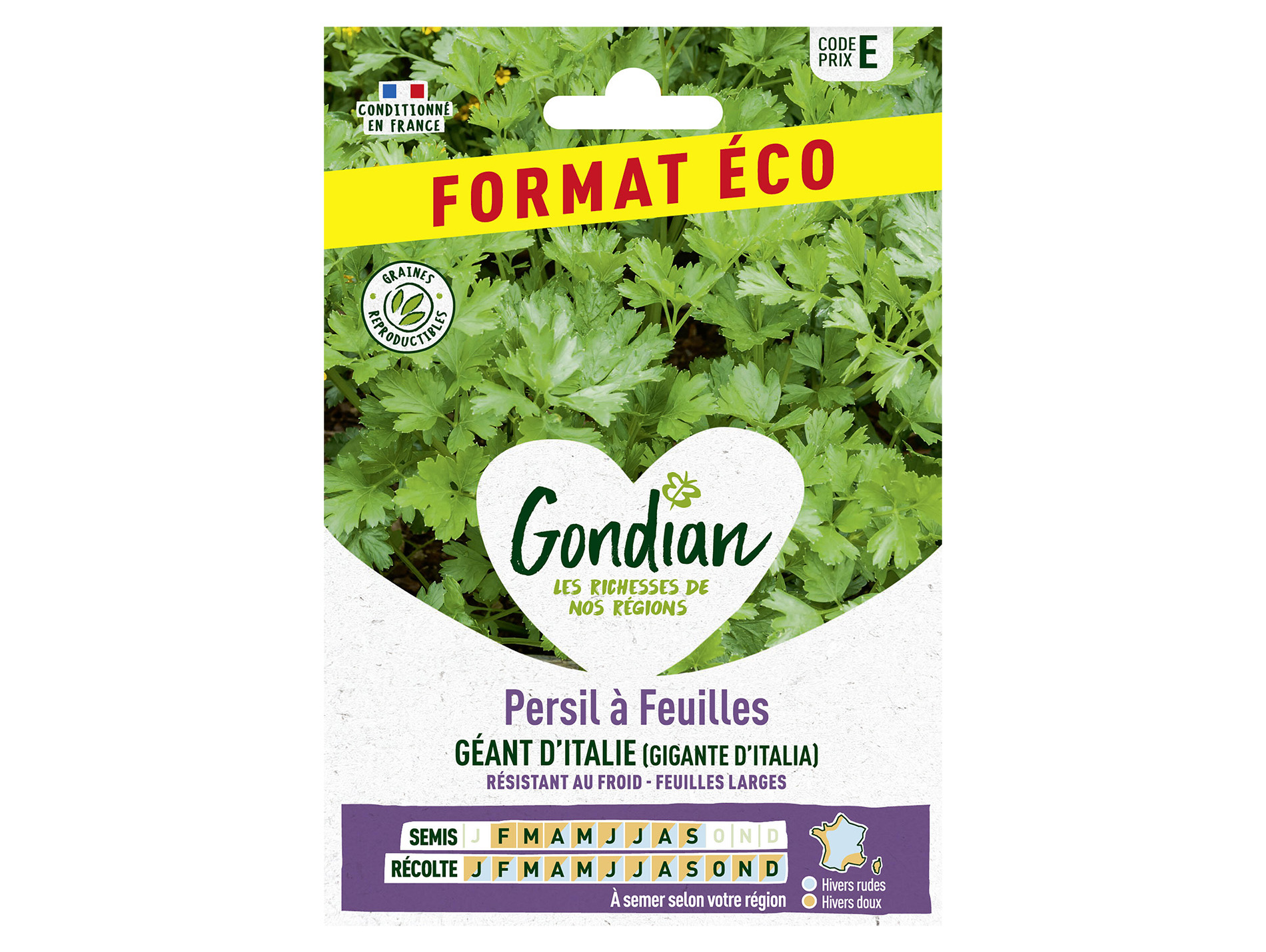 Persil à feuilles Géant d'Italie éco GONDIAN Série E