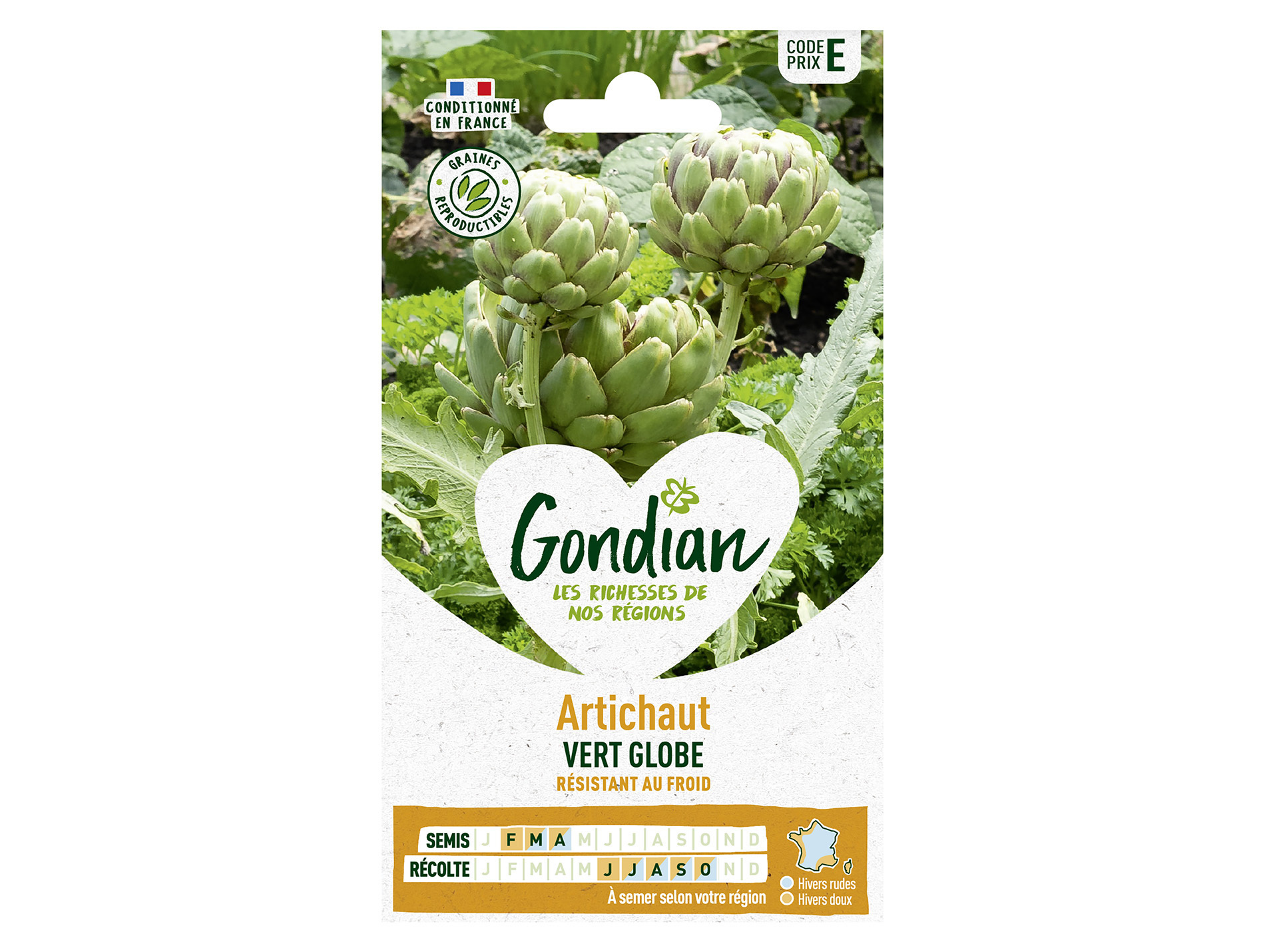 Artichaut vert globe GONDIAN Série E