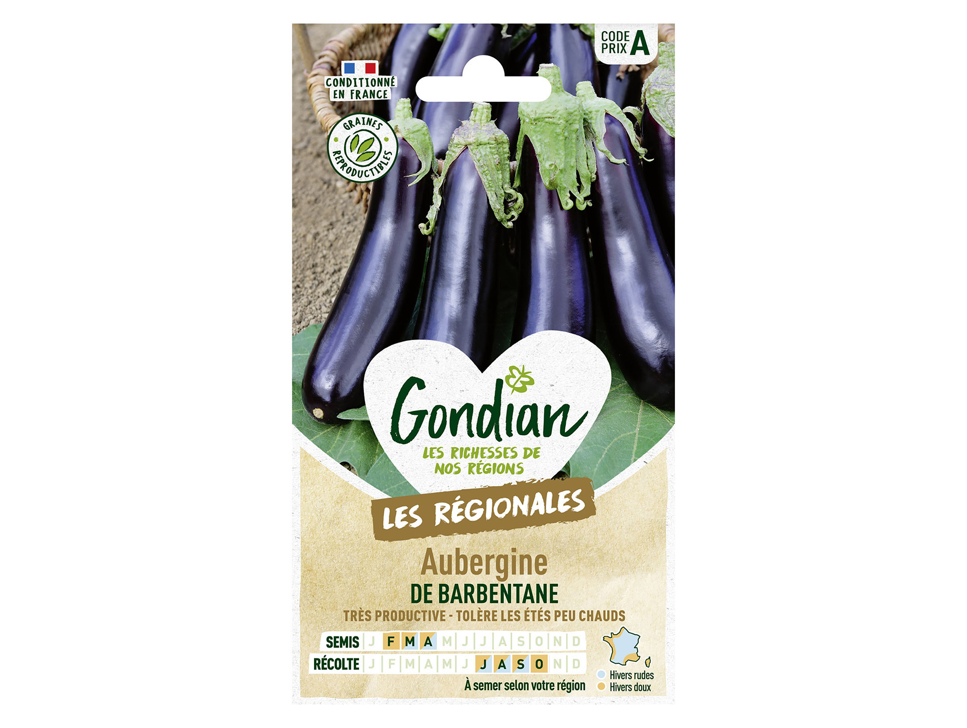 Aubergine barbentane GONDIAN Série A