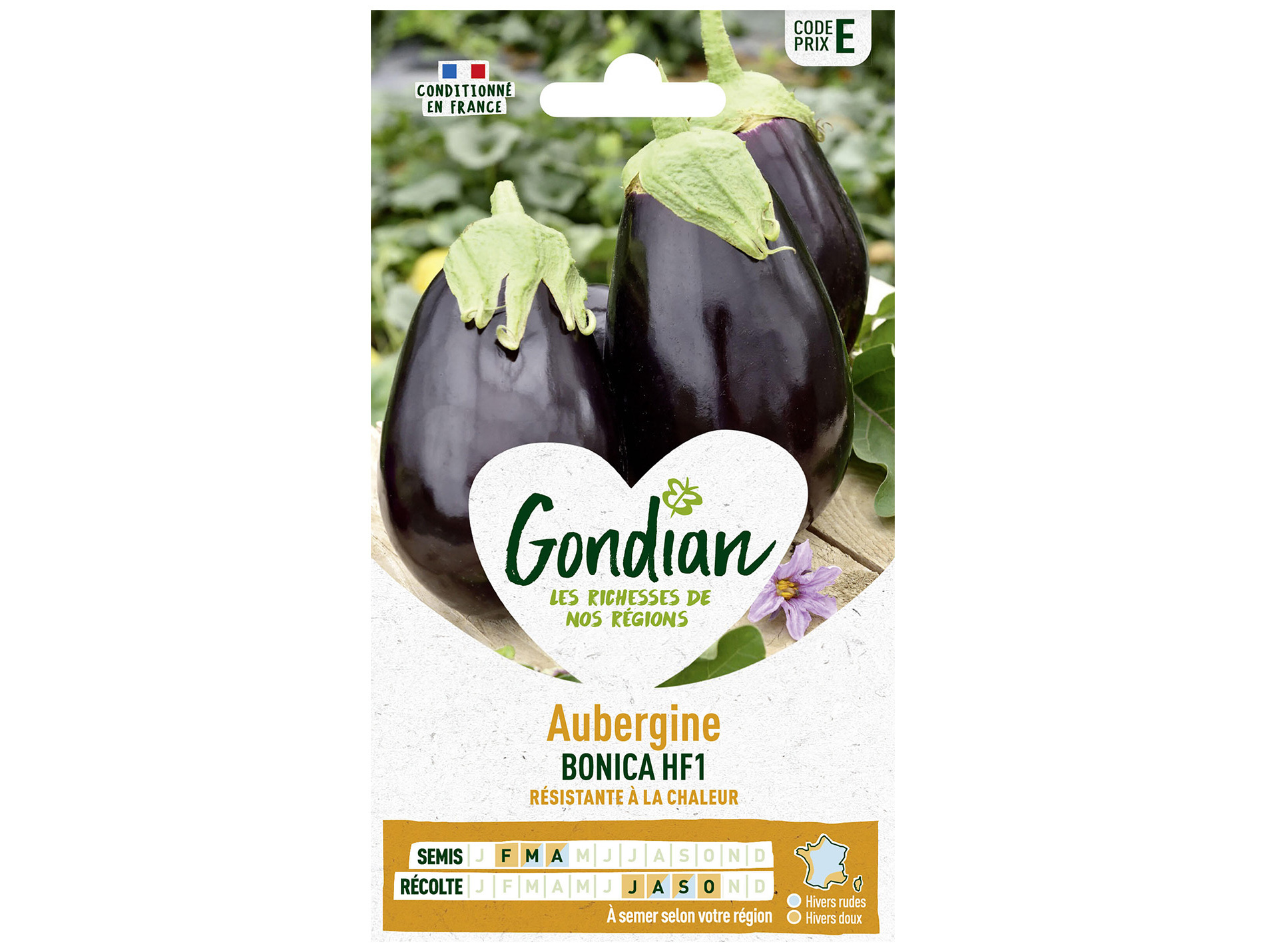 Aubergine bonica HF1 GONDIAN Série E