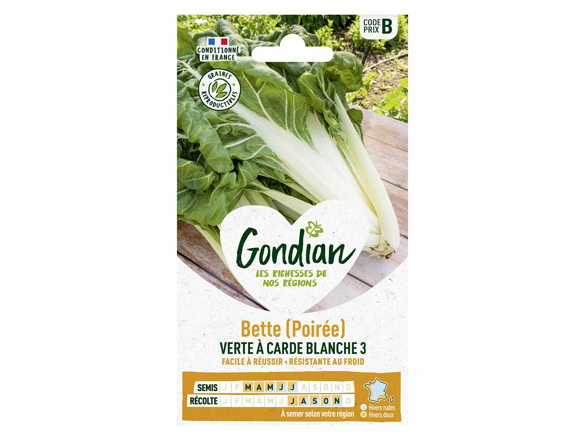 Bette verte à carde blanche 3 GONDIAN Série B