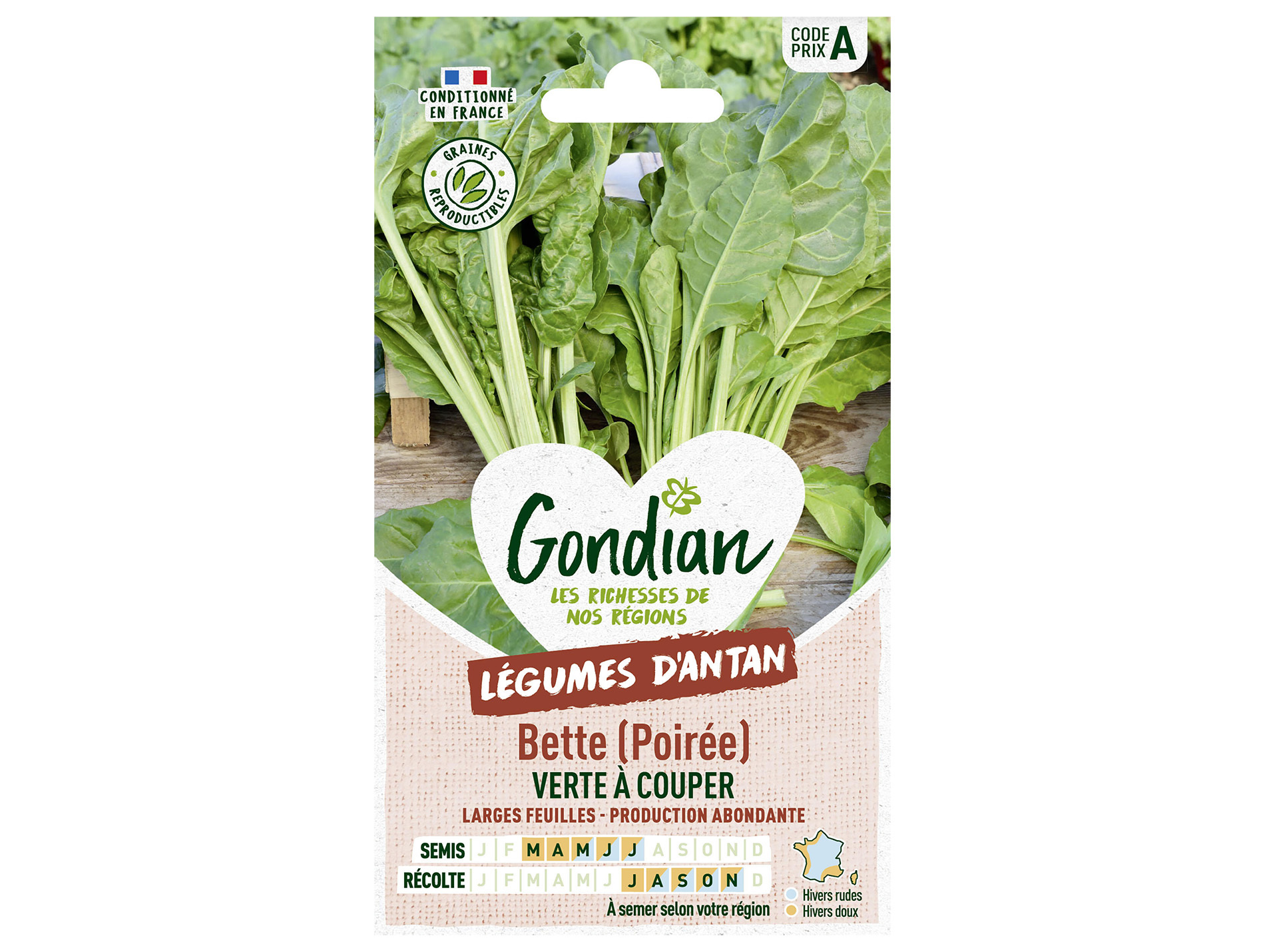Bette verte à couper GONDIAN Série A