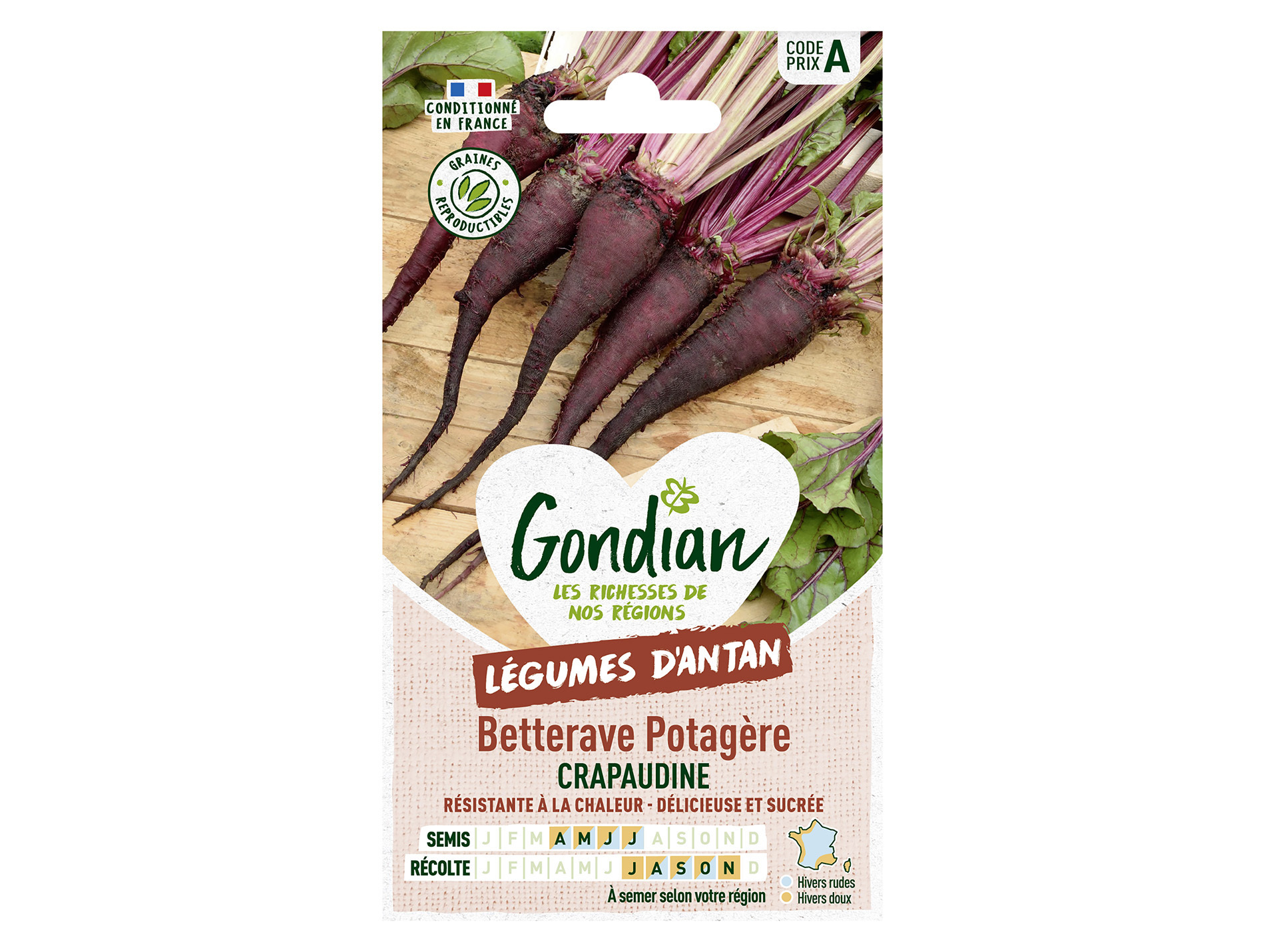 Betterave potagère Crapaudine GONDIAN Série A